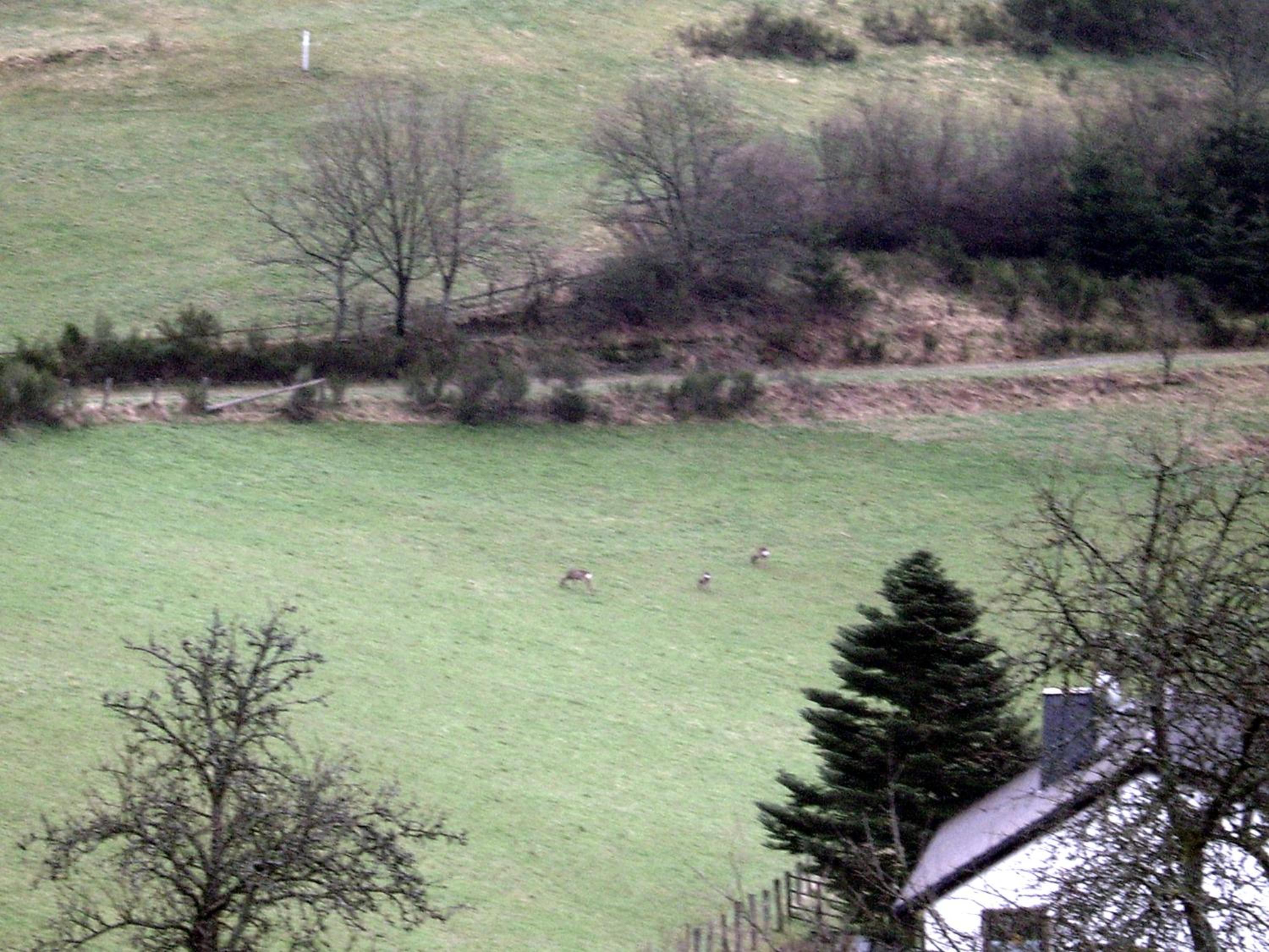 Photo 40