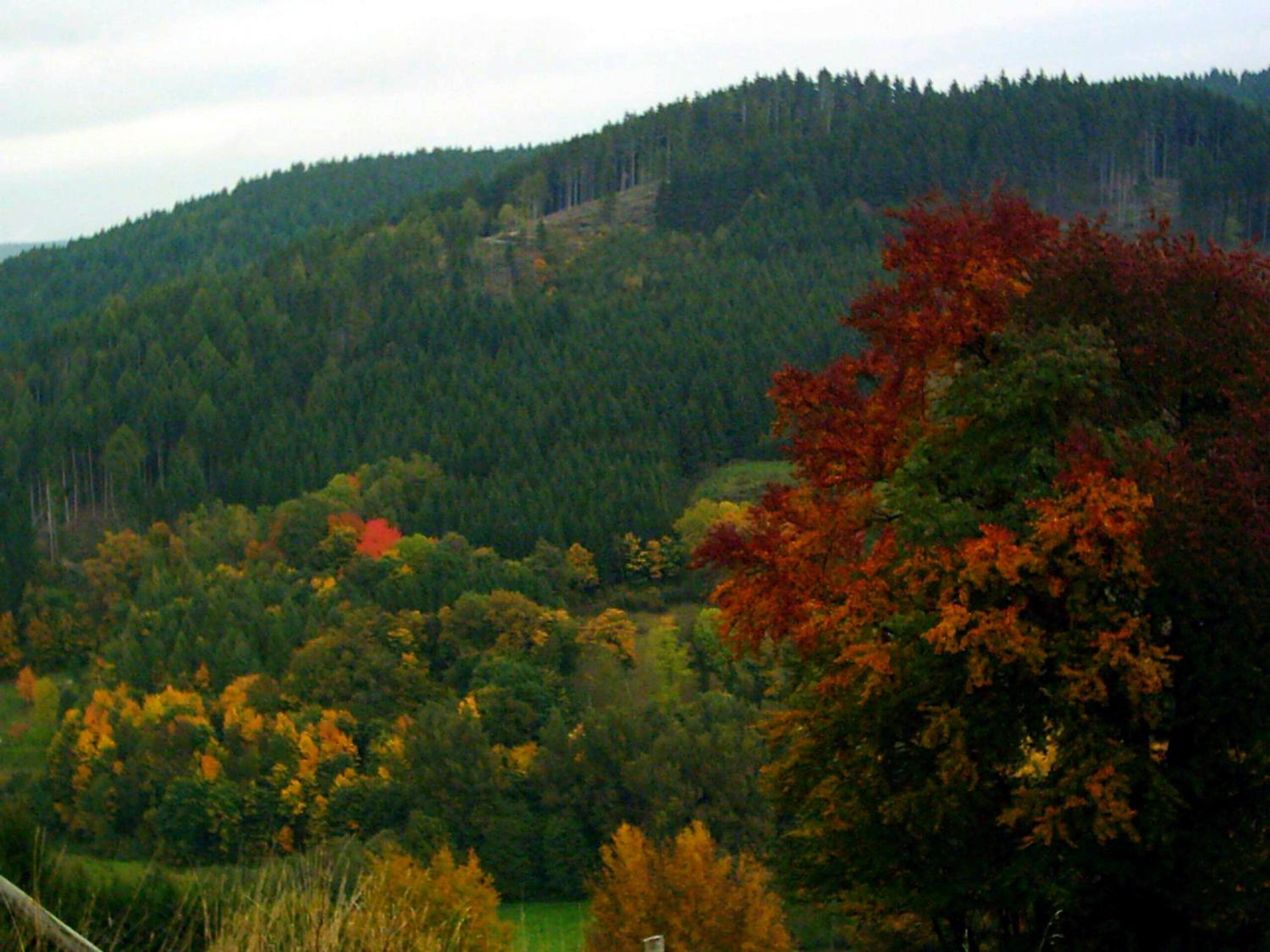Photo 42
