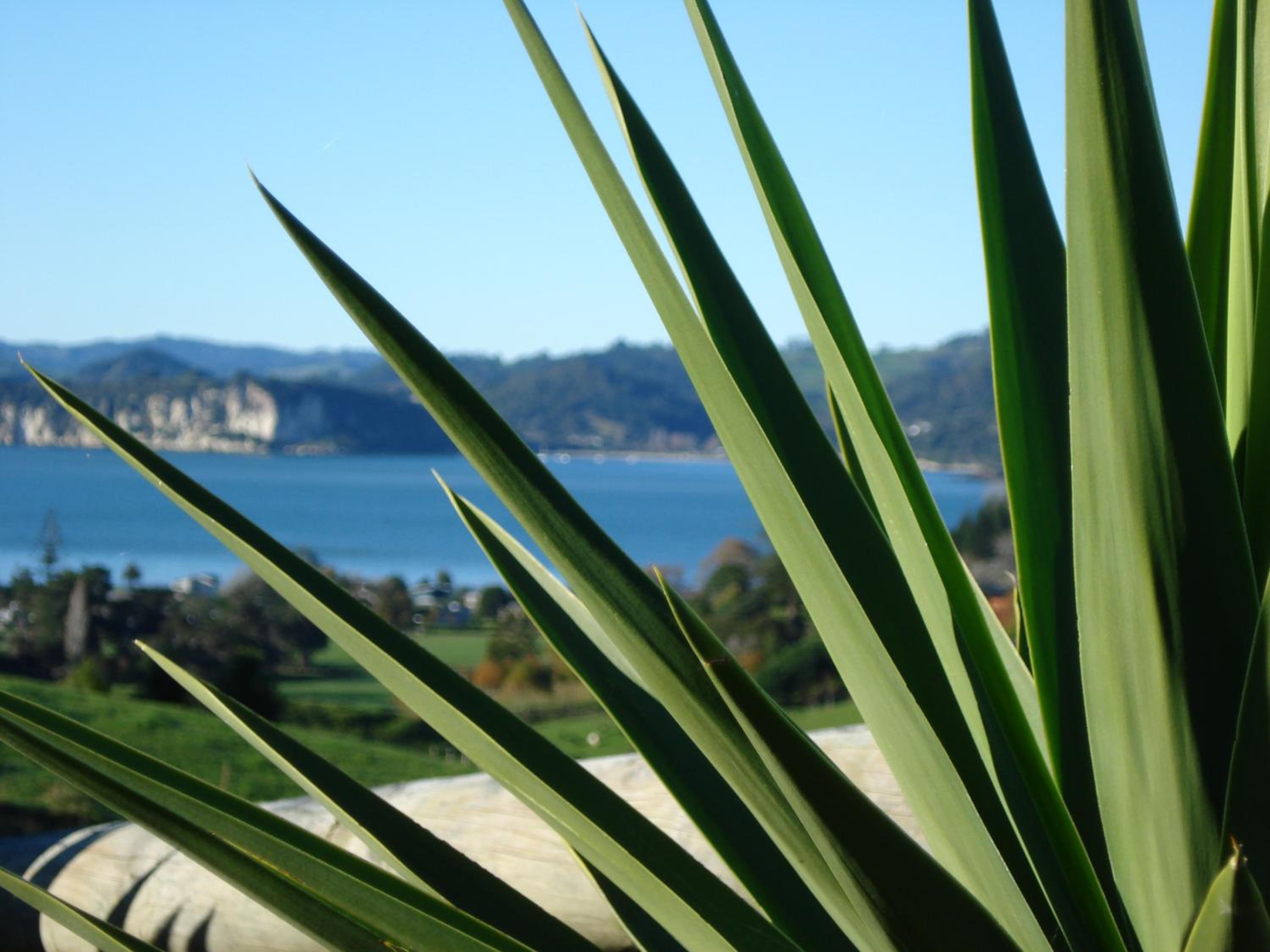 Ohuka Place Homestay
