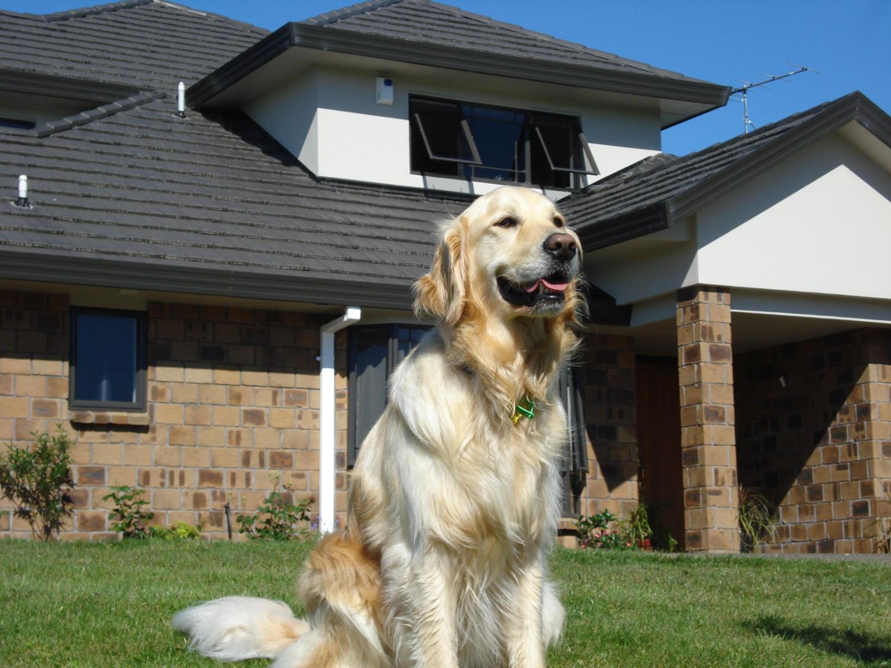 Ohuka Place Homestay
