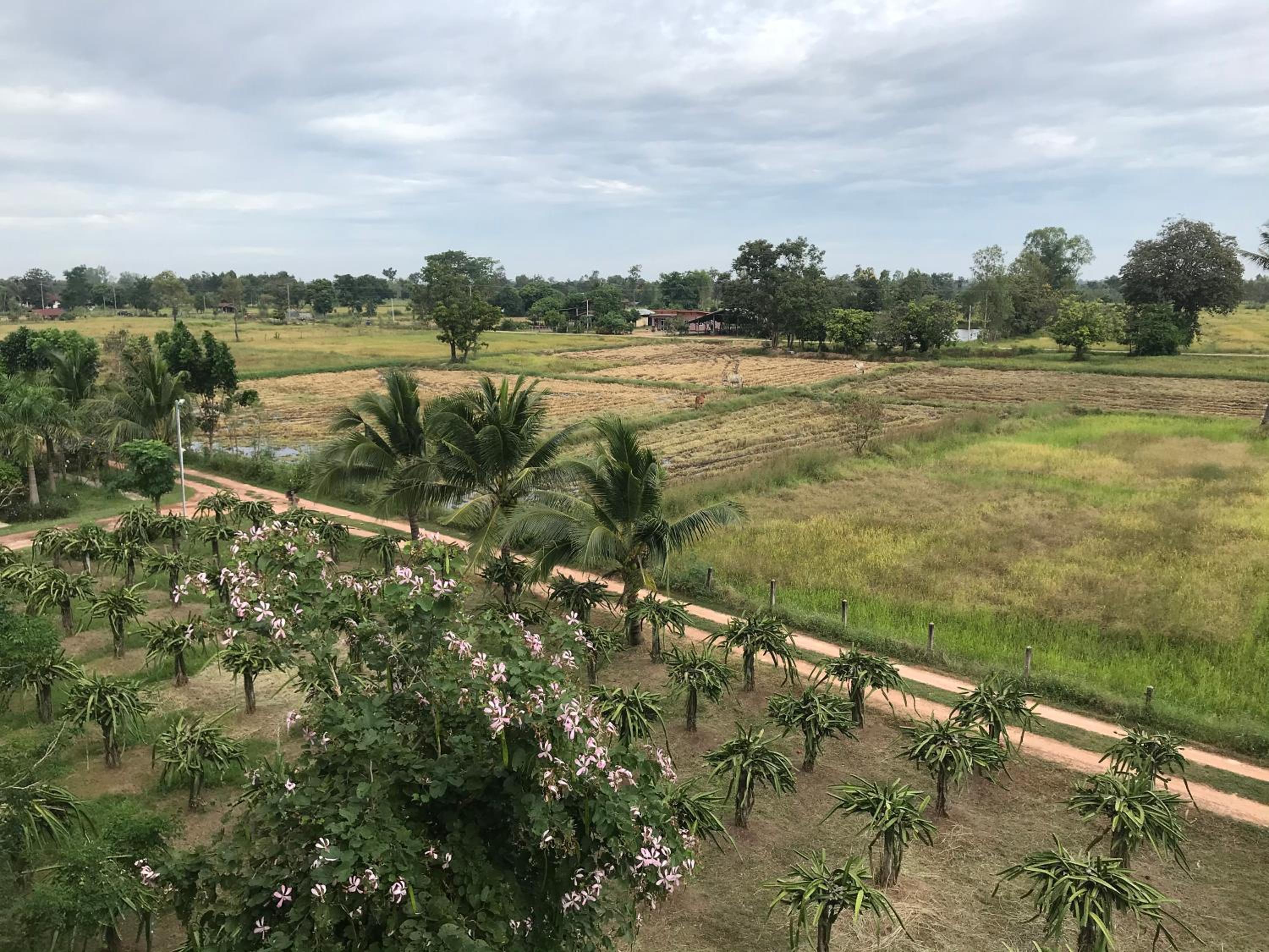 Ok Farm Resort