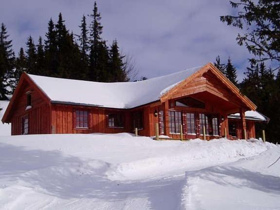Large Cottage 2 Baths and Sauna in Sjusjøen view 5
