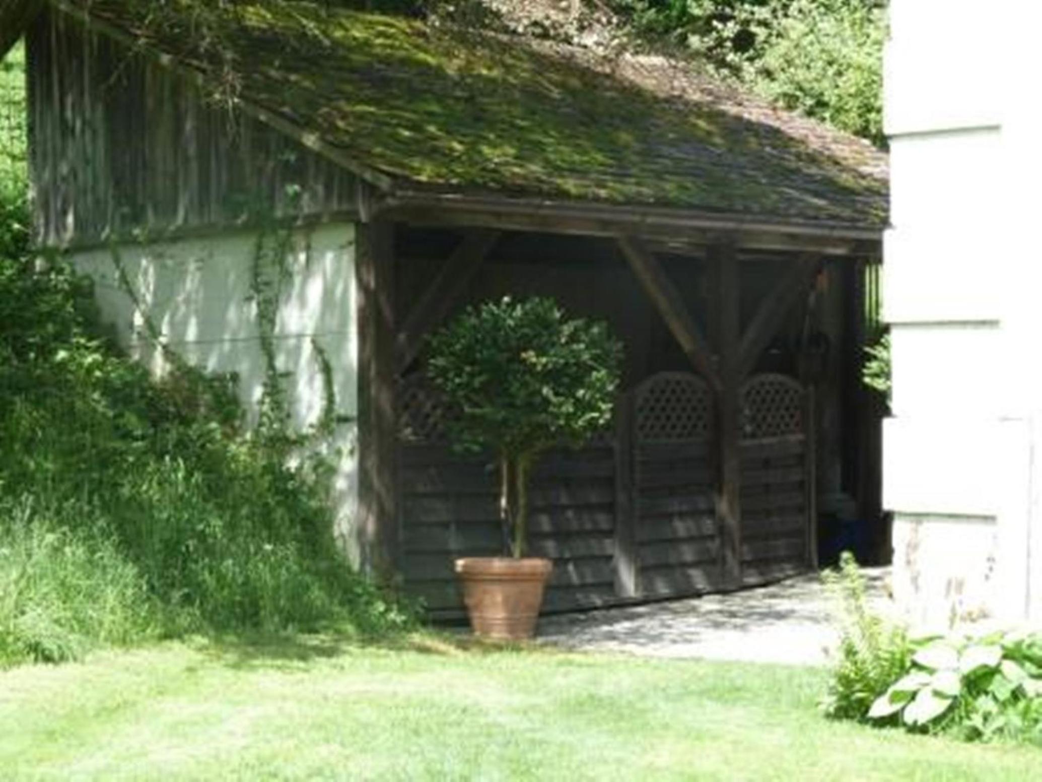 Photo 41