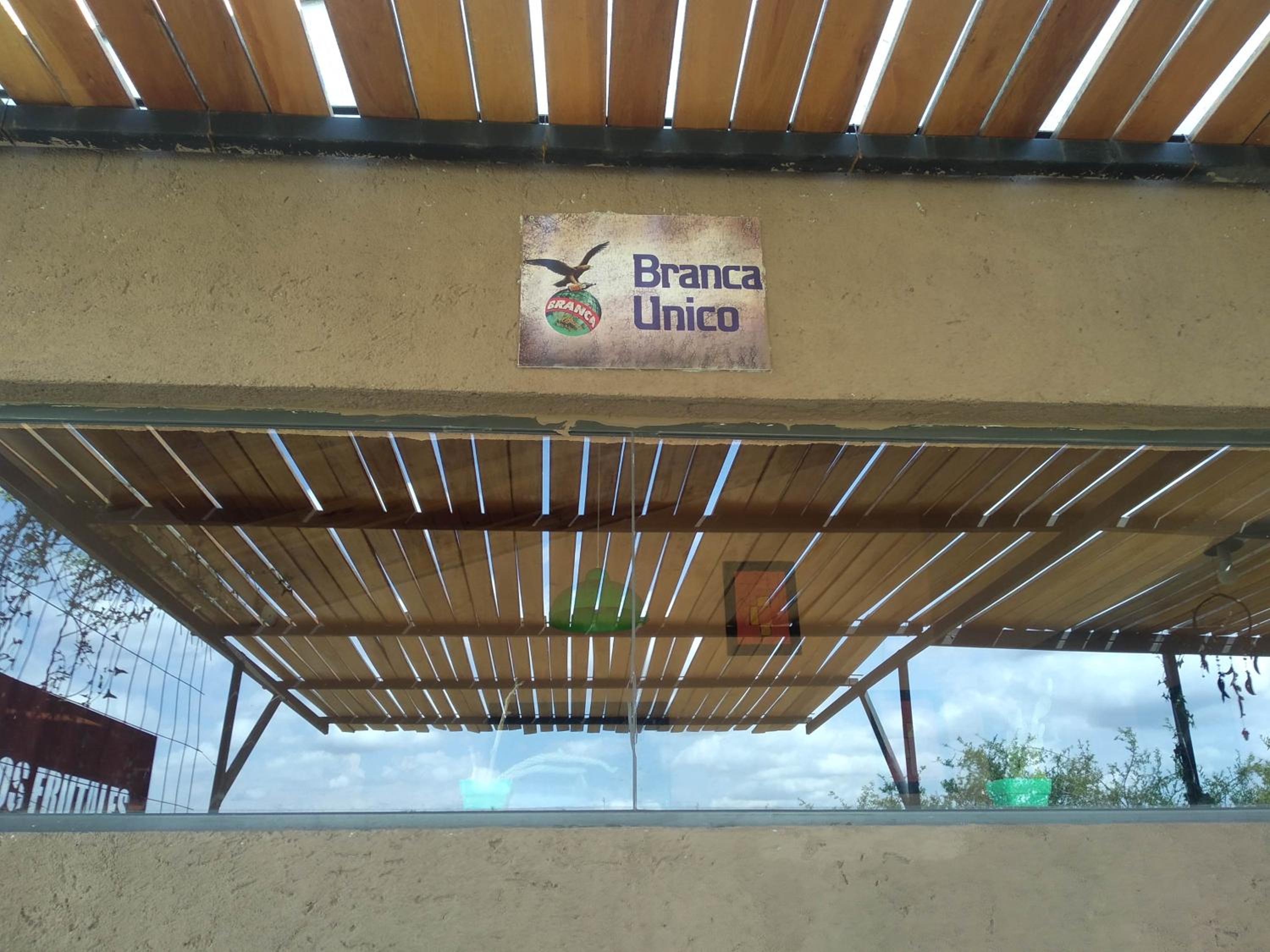 Los Frutales