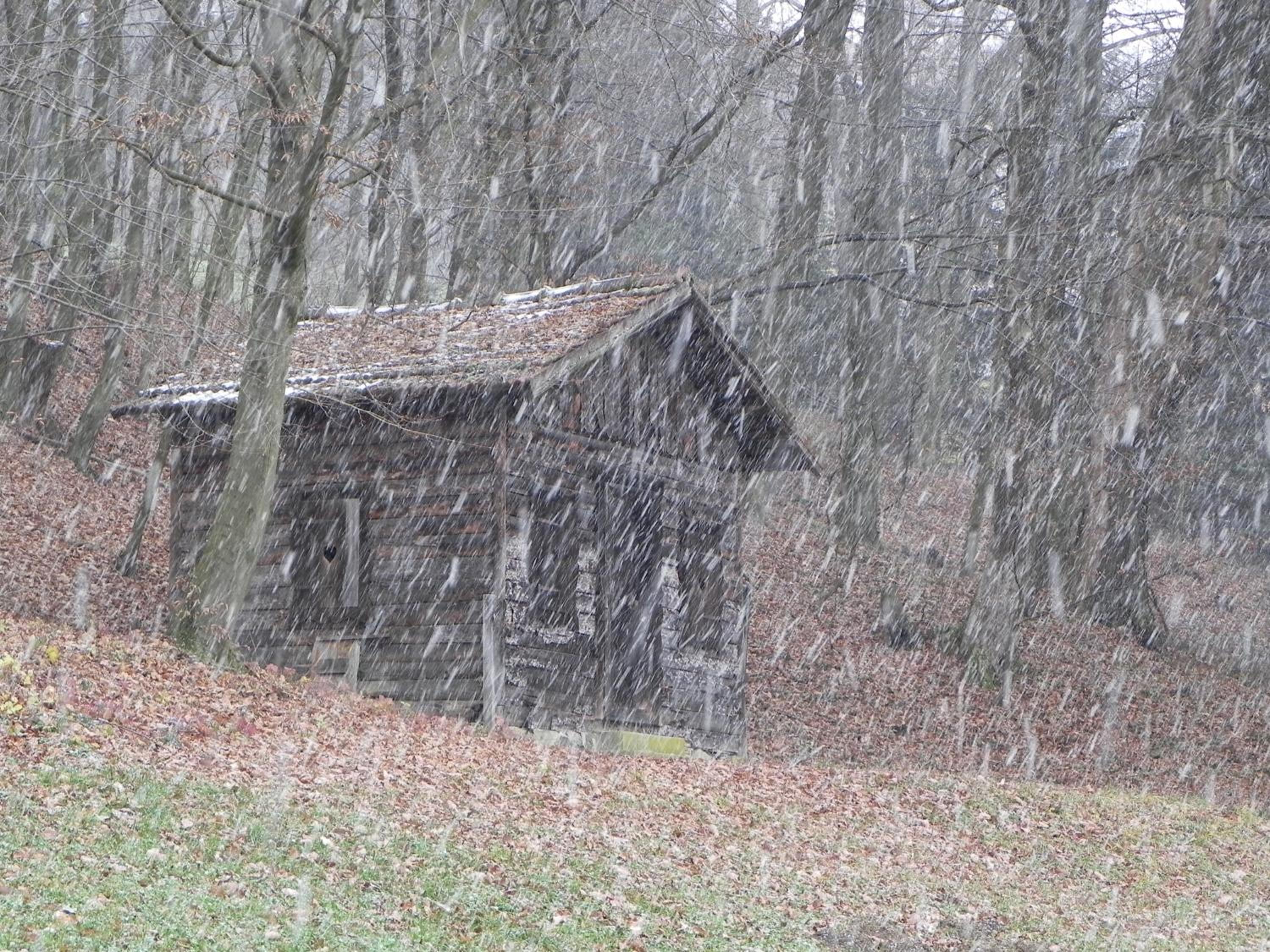 Photo 46