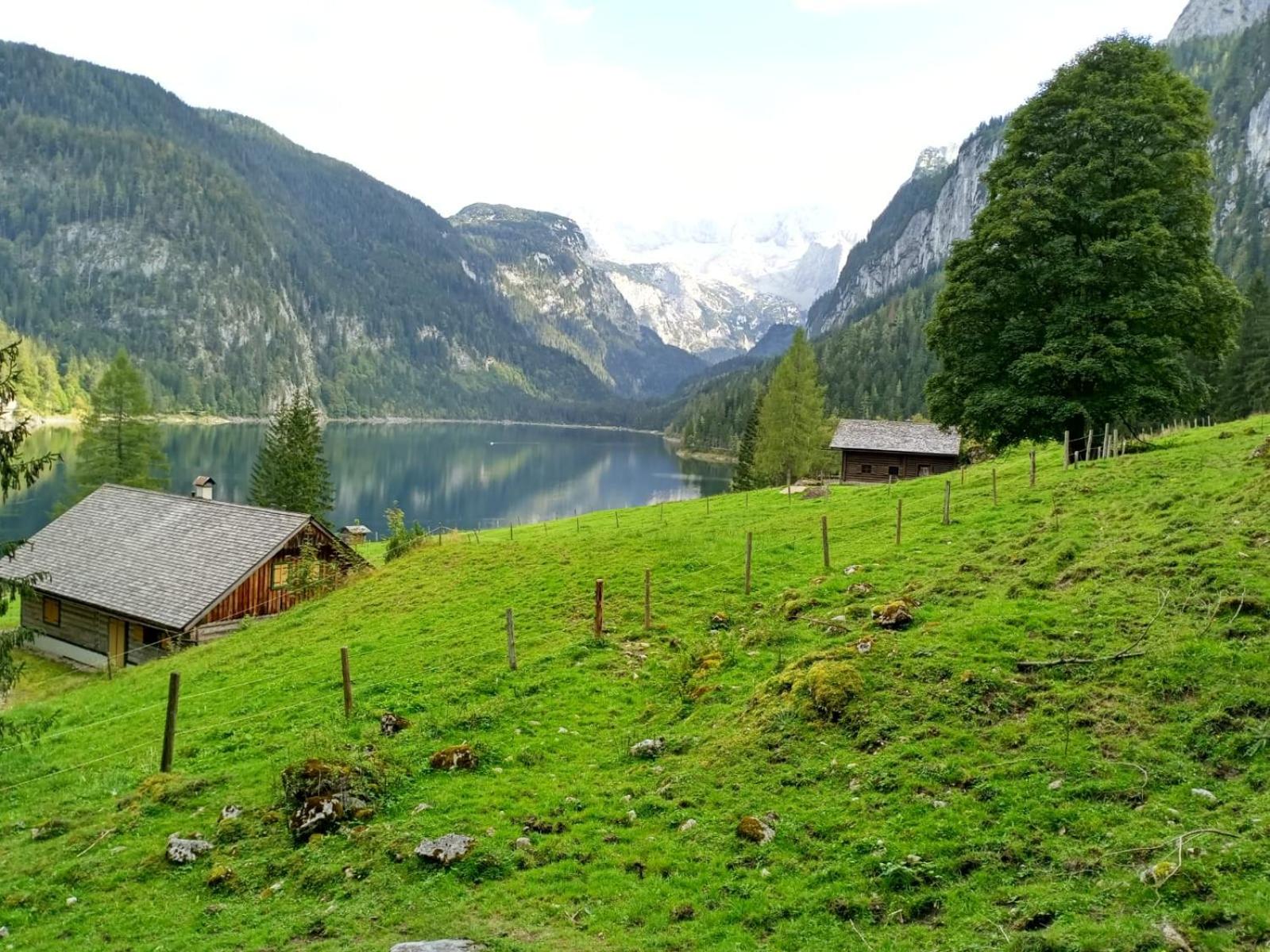 Apartmenthaus Hinterer