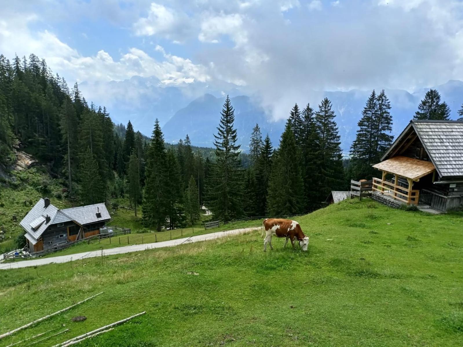 Apartmenthaus Hinterer