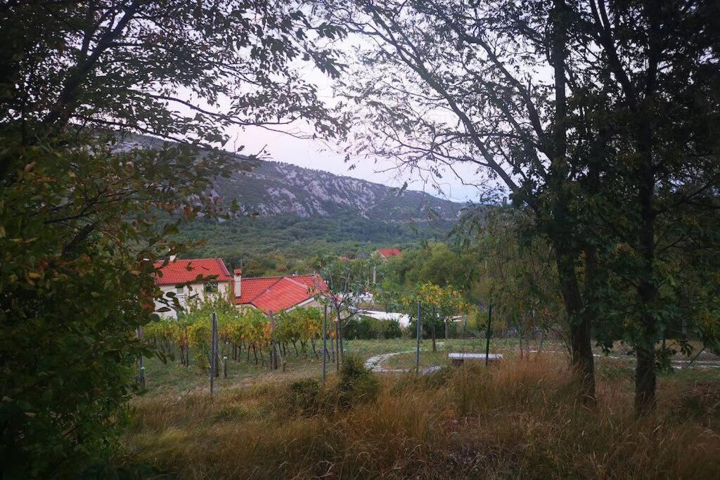 Photo 35