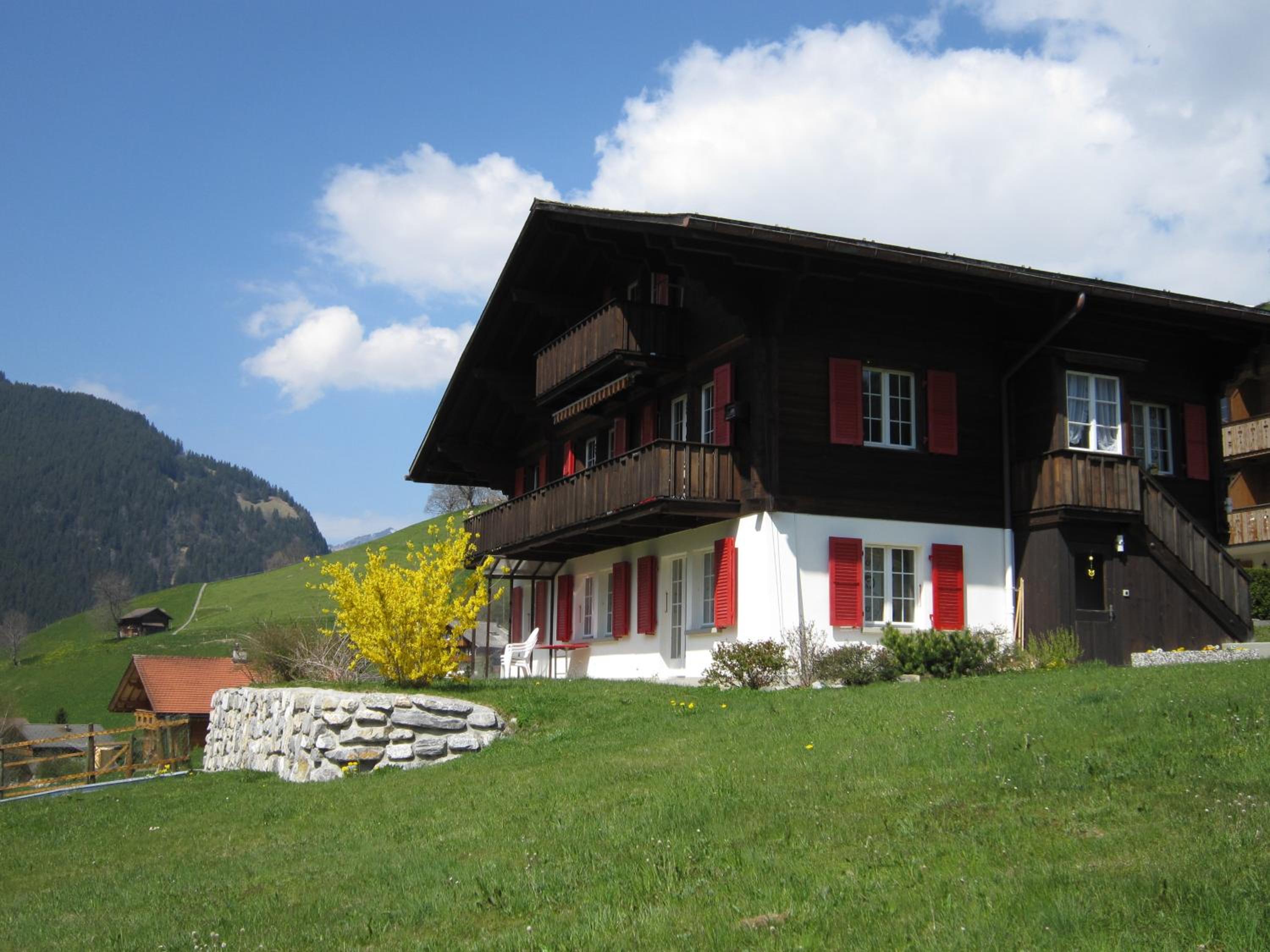 Photo 15