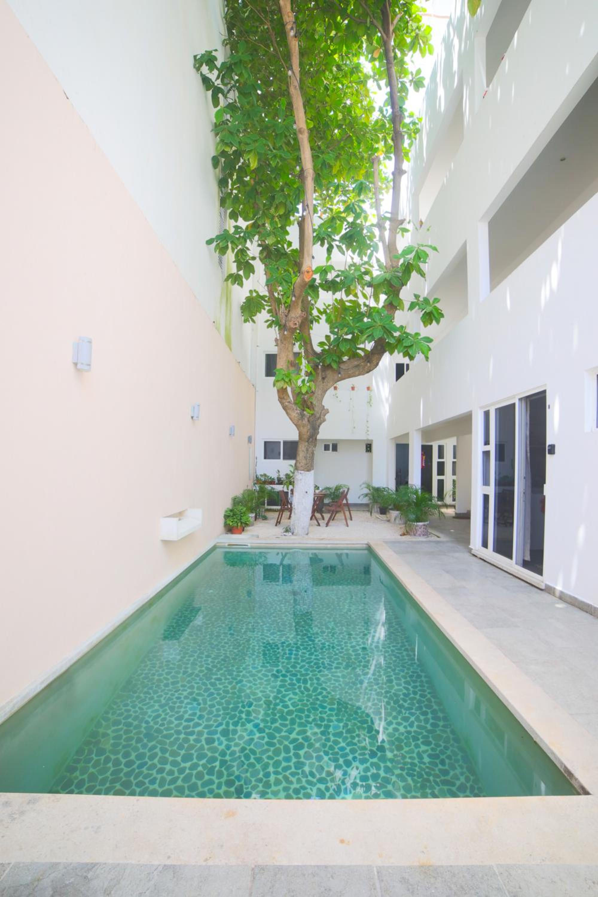 Almond Suites view 5