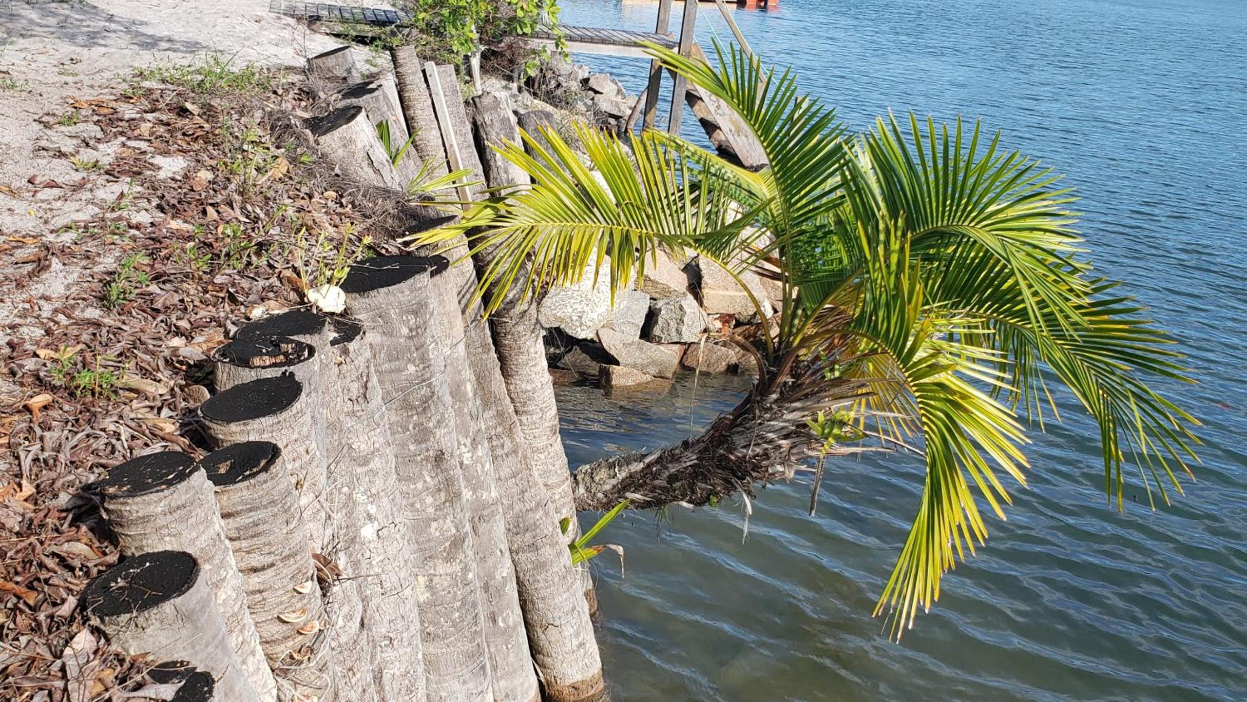 Casinha Amarela EcoLodge Boipeba