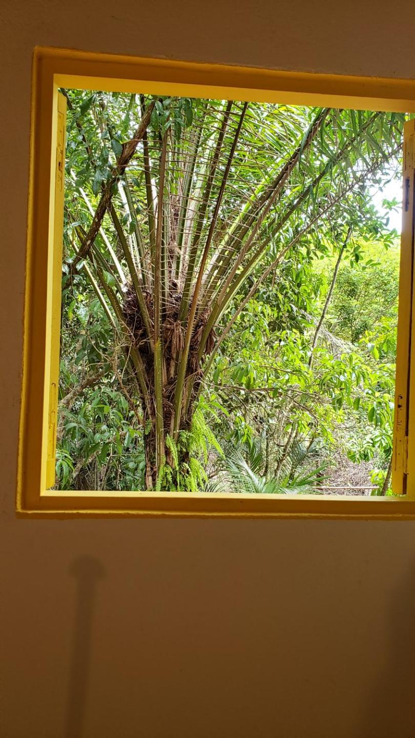 Casinha Amarela EcoLodge Boipeba