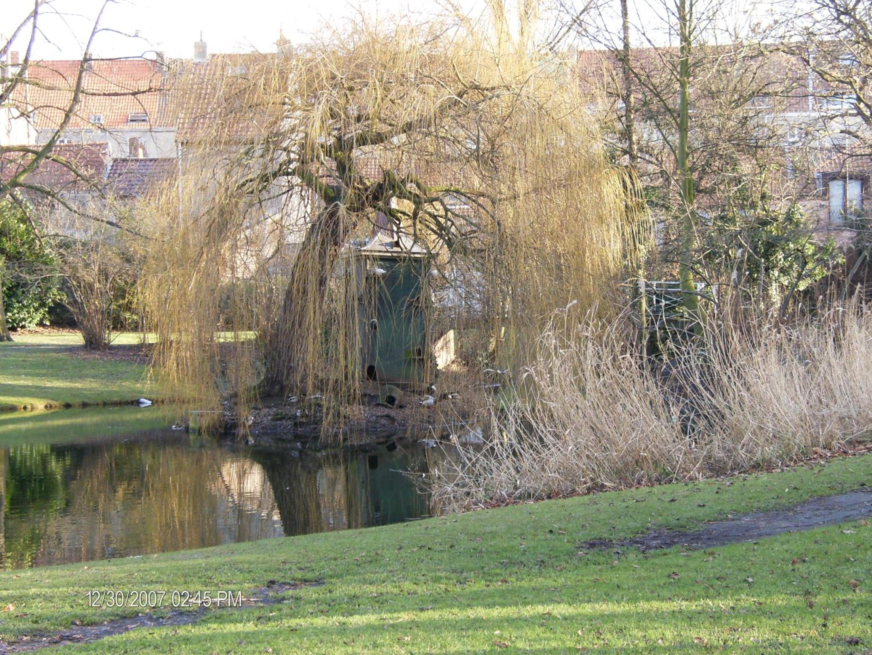 B&B Het Rommelwater