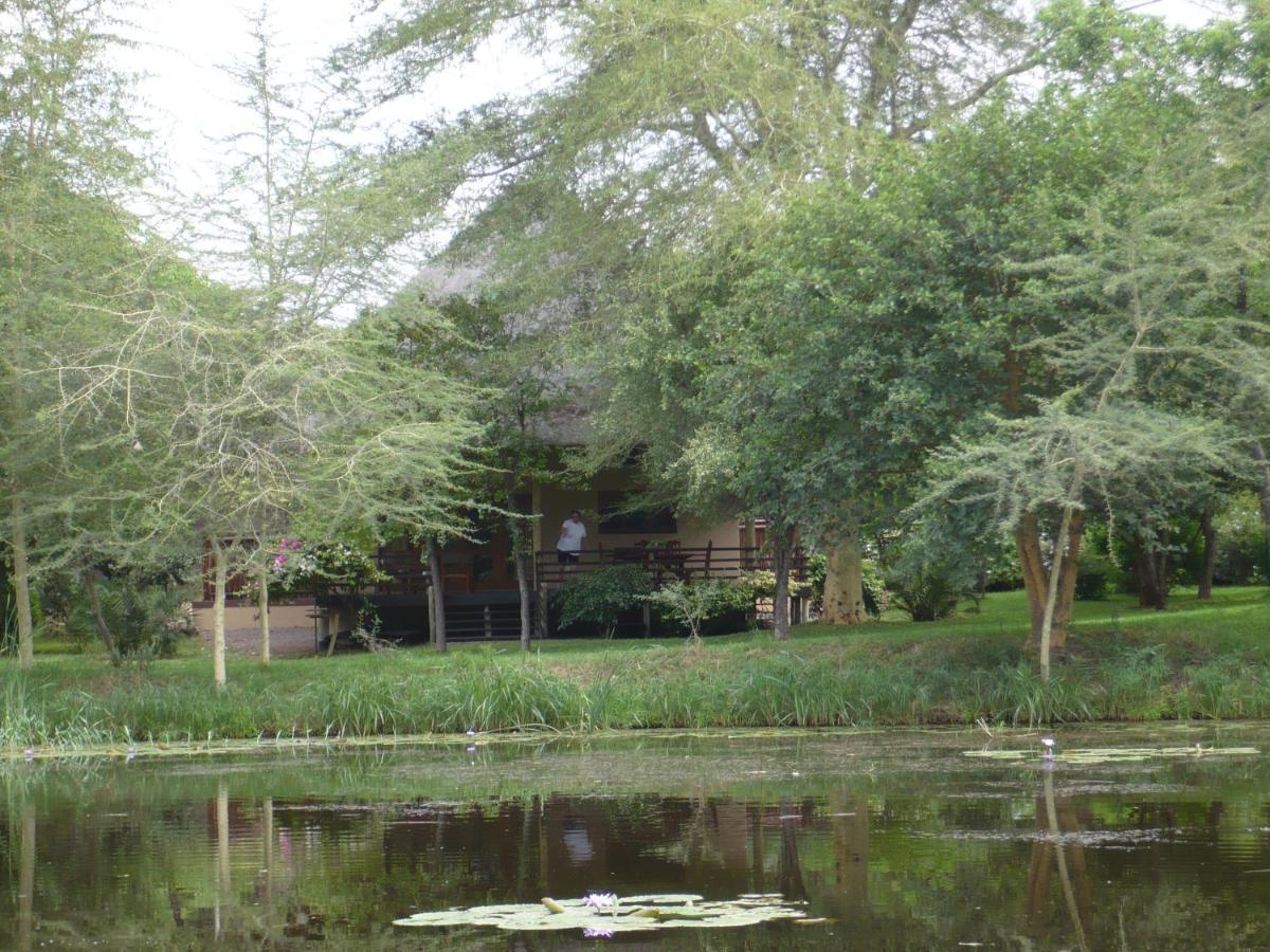 Photo 15