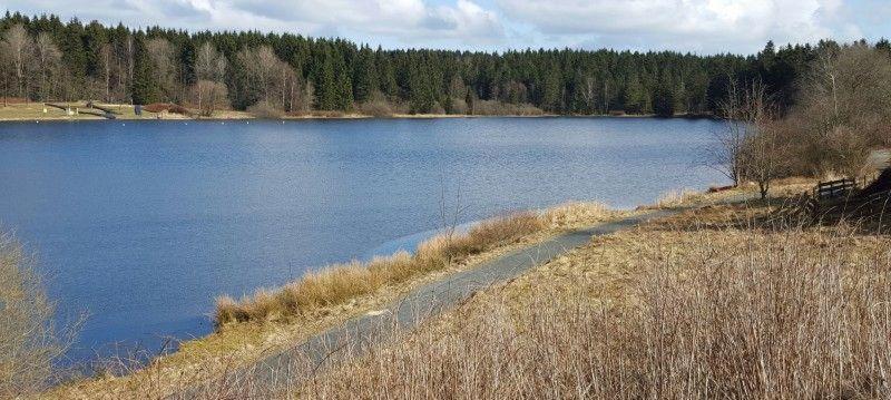 Waldsee-Ferienhaus-mit-Kamin-W-Lan