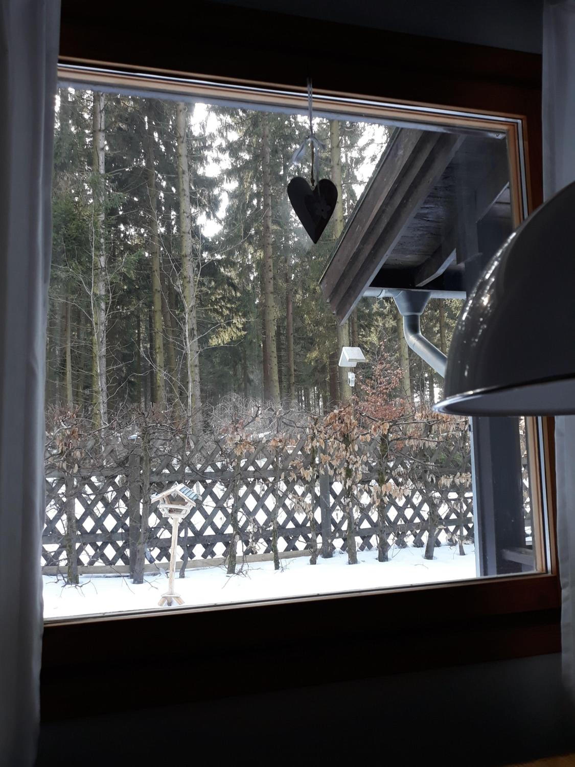 Waldsee-Ferienhaus-mit-Kamin-W-Lan