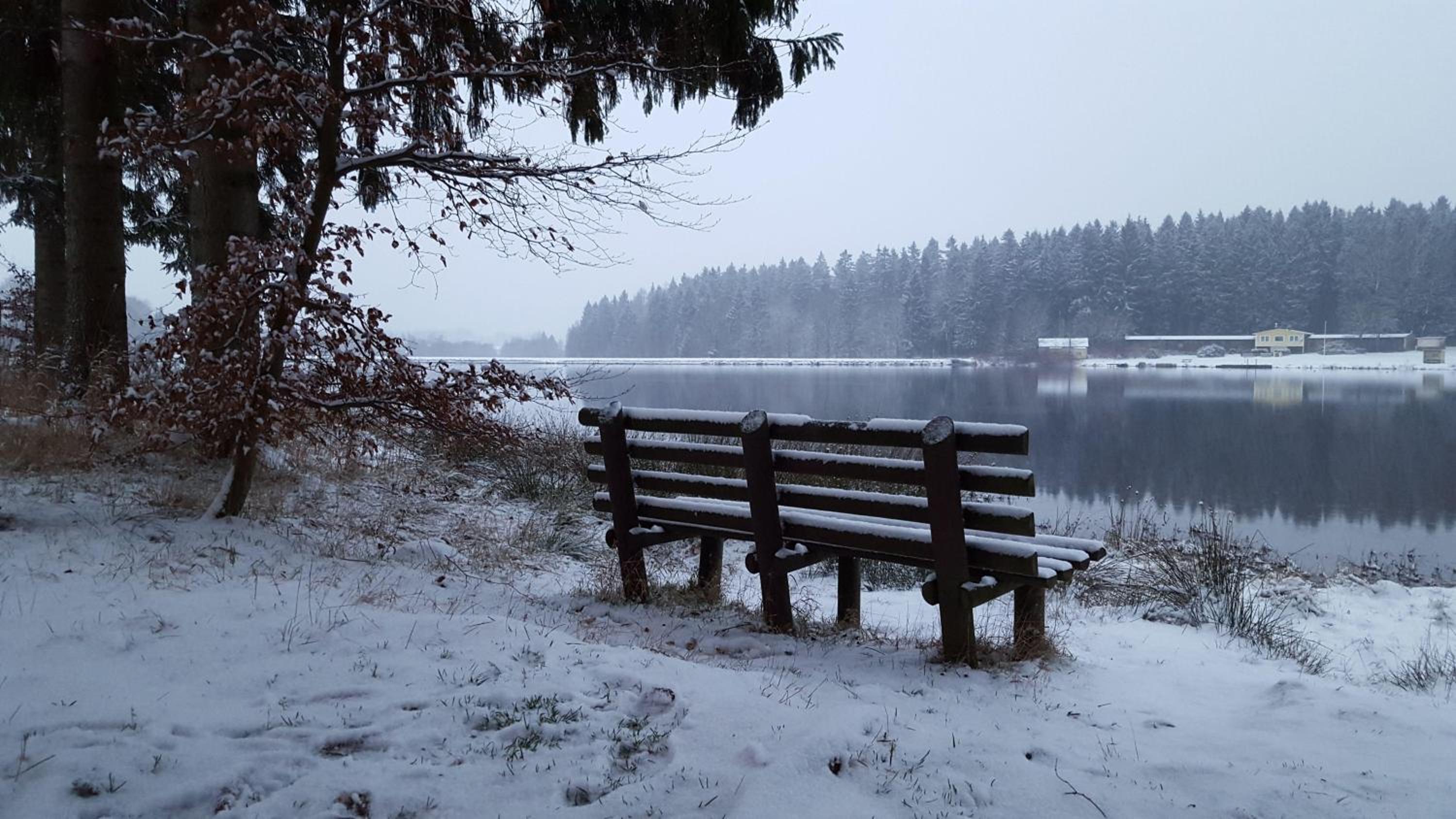 Waldsee-Ferienhaus-mit-Kamin-W-Lan