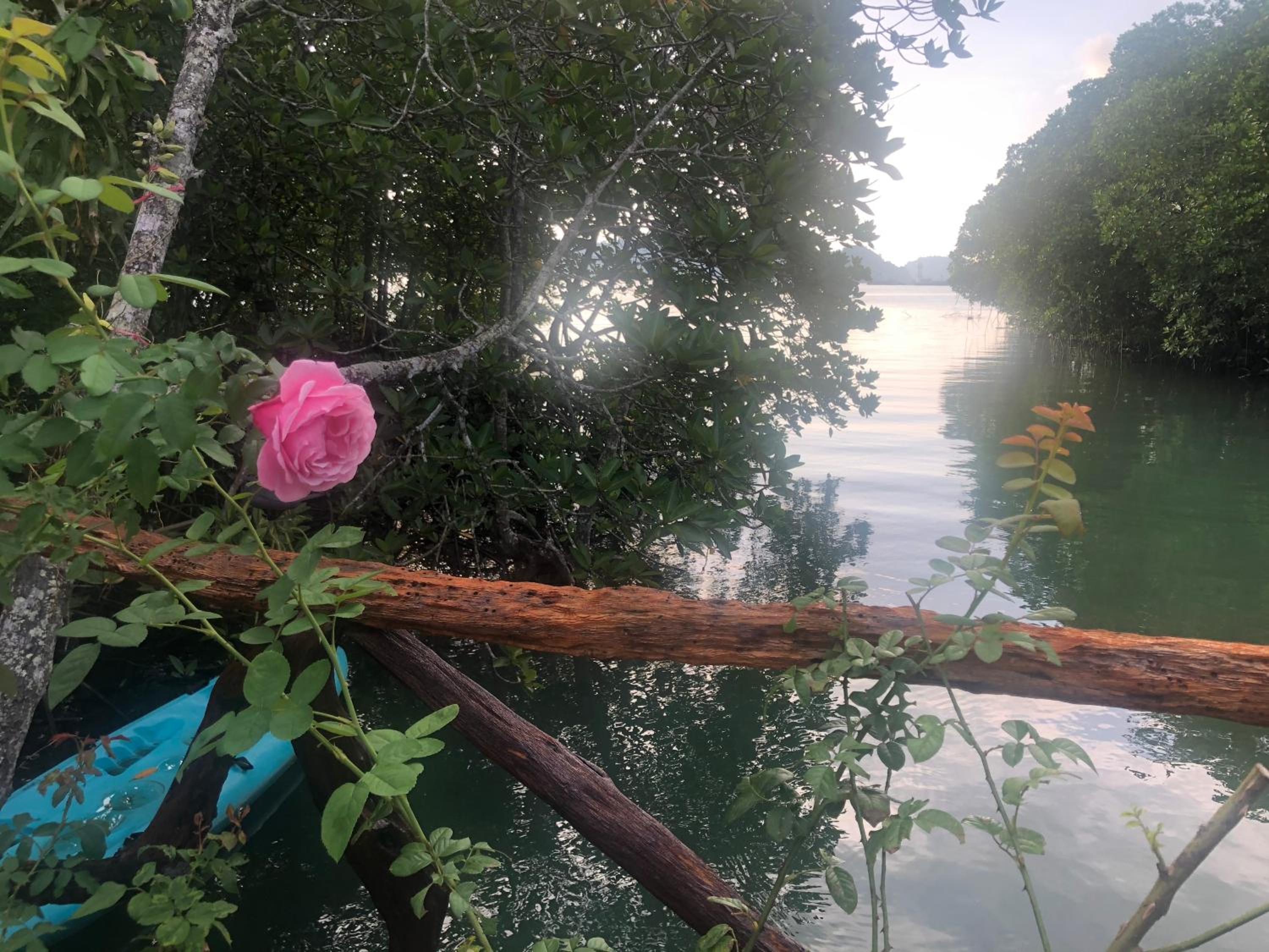Baan Chan Lay Koh Chang