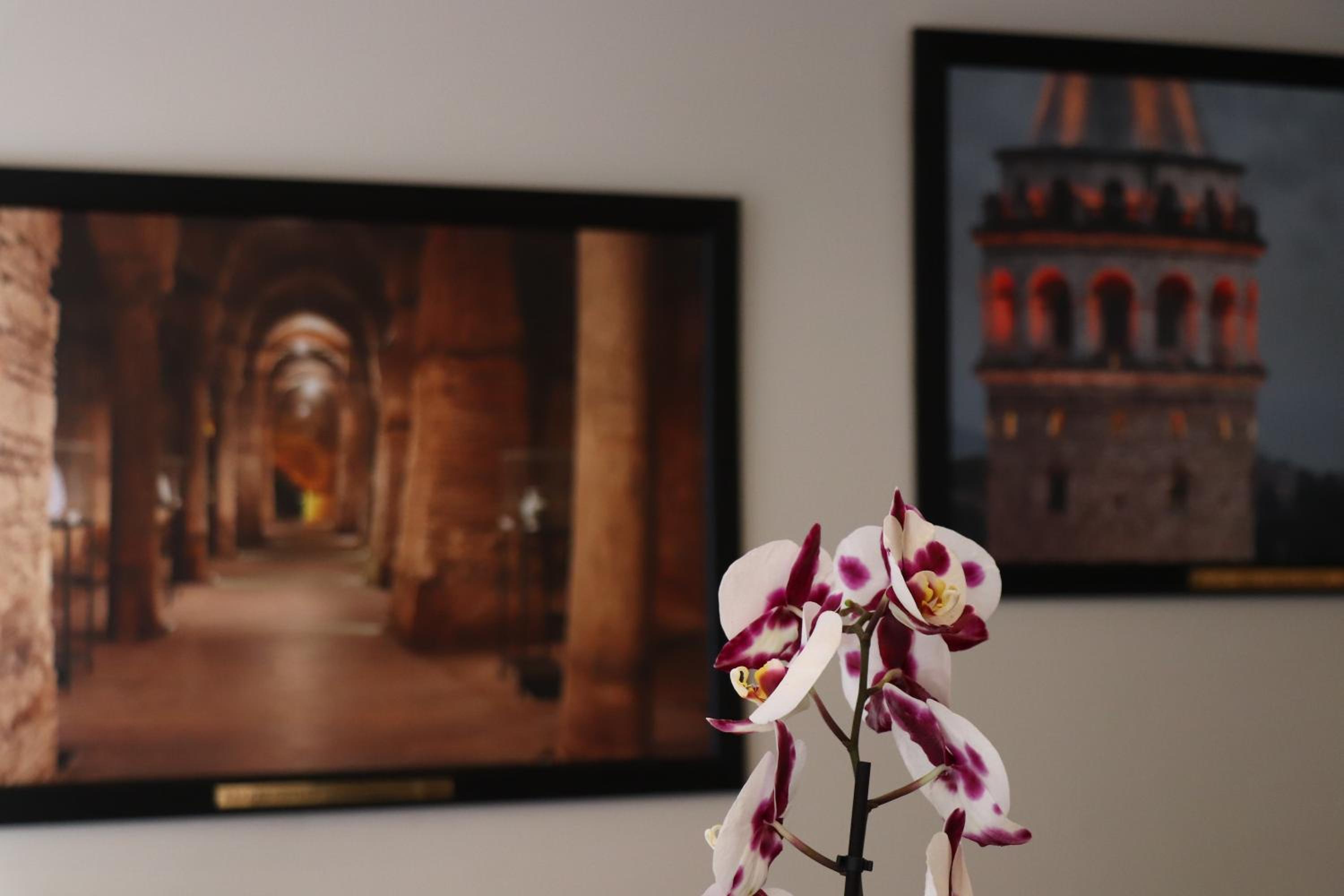 Recital Otel - Image 11