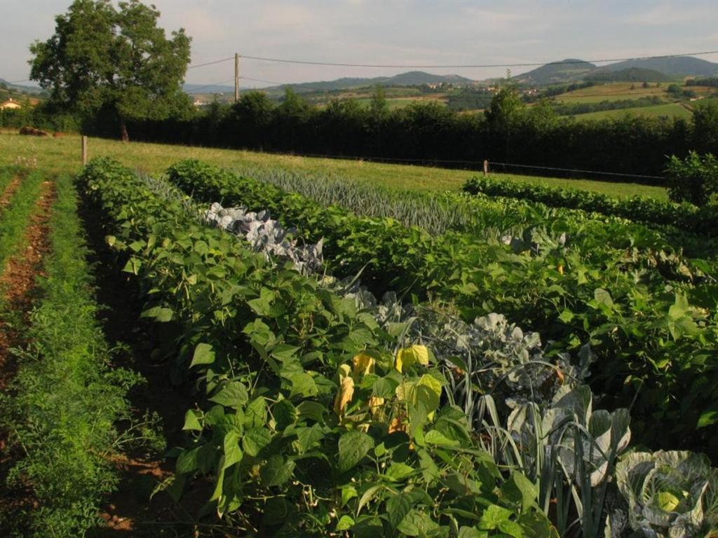 La Ferme Du Chapi