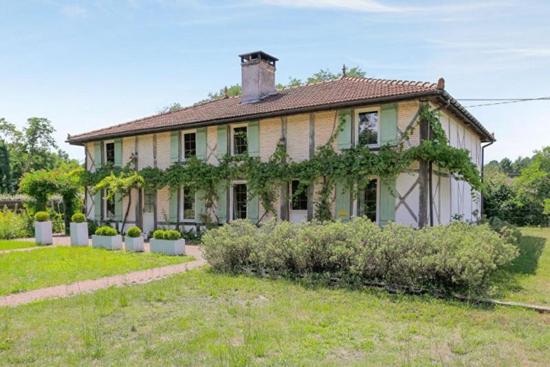 La résinière de pirique view 4