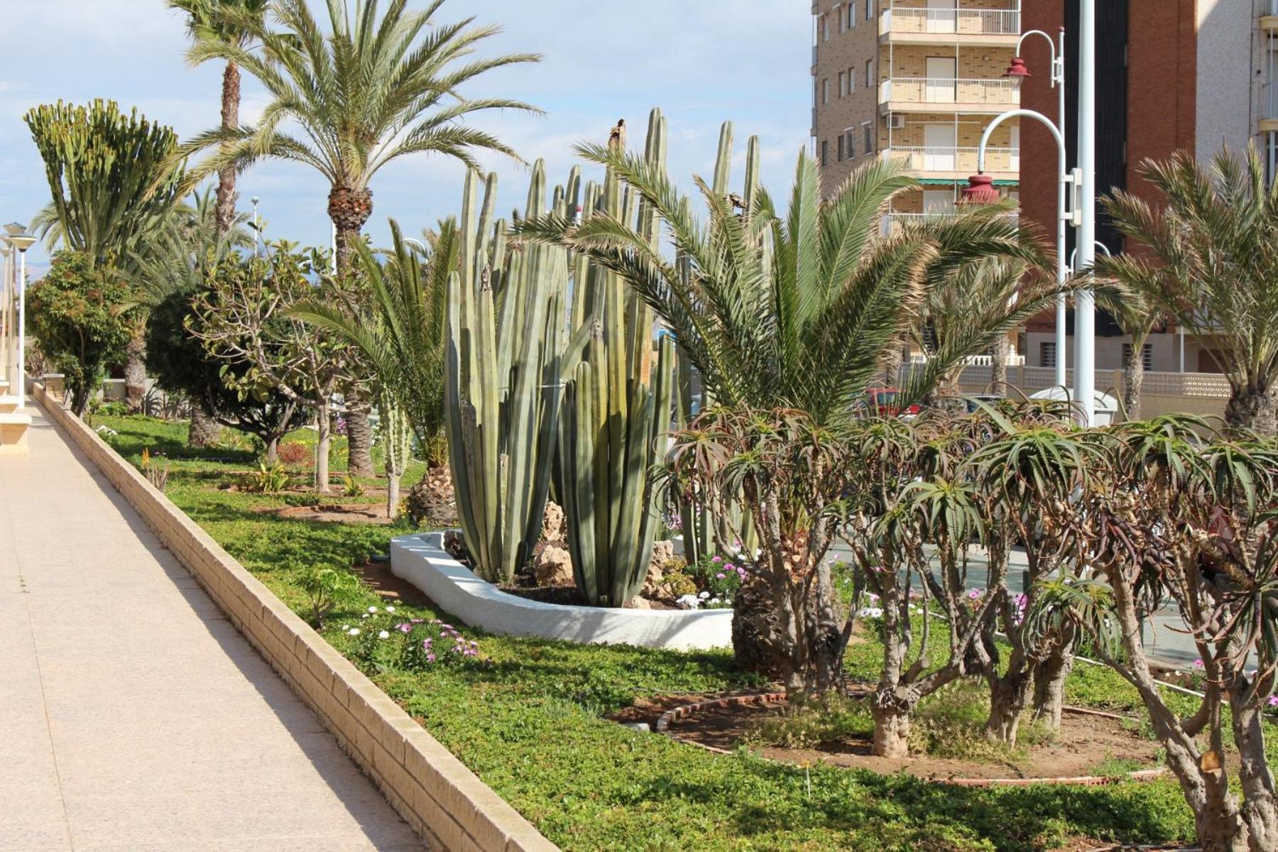 Apartamento Arenales