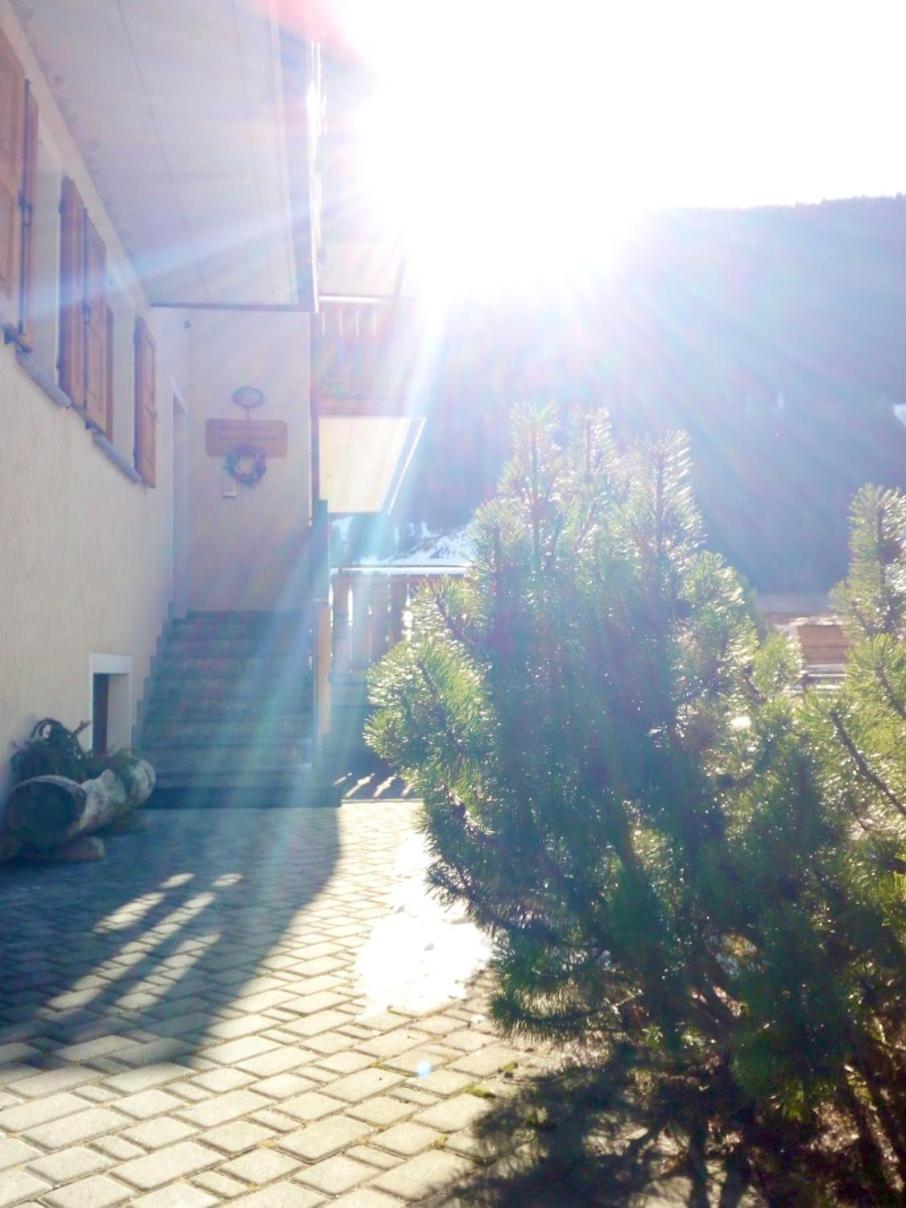 Photo 43