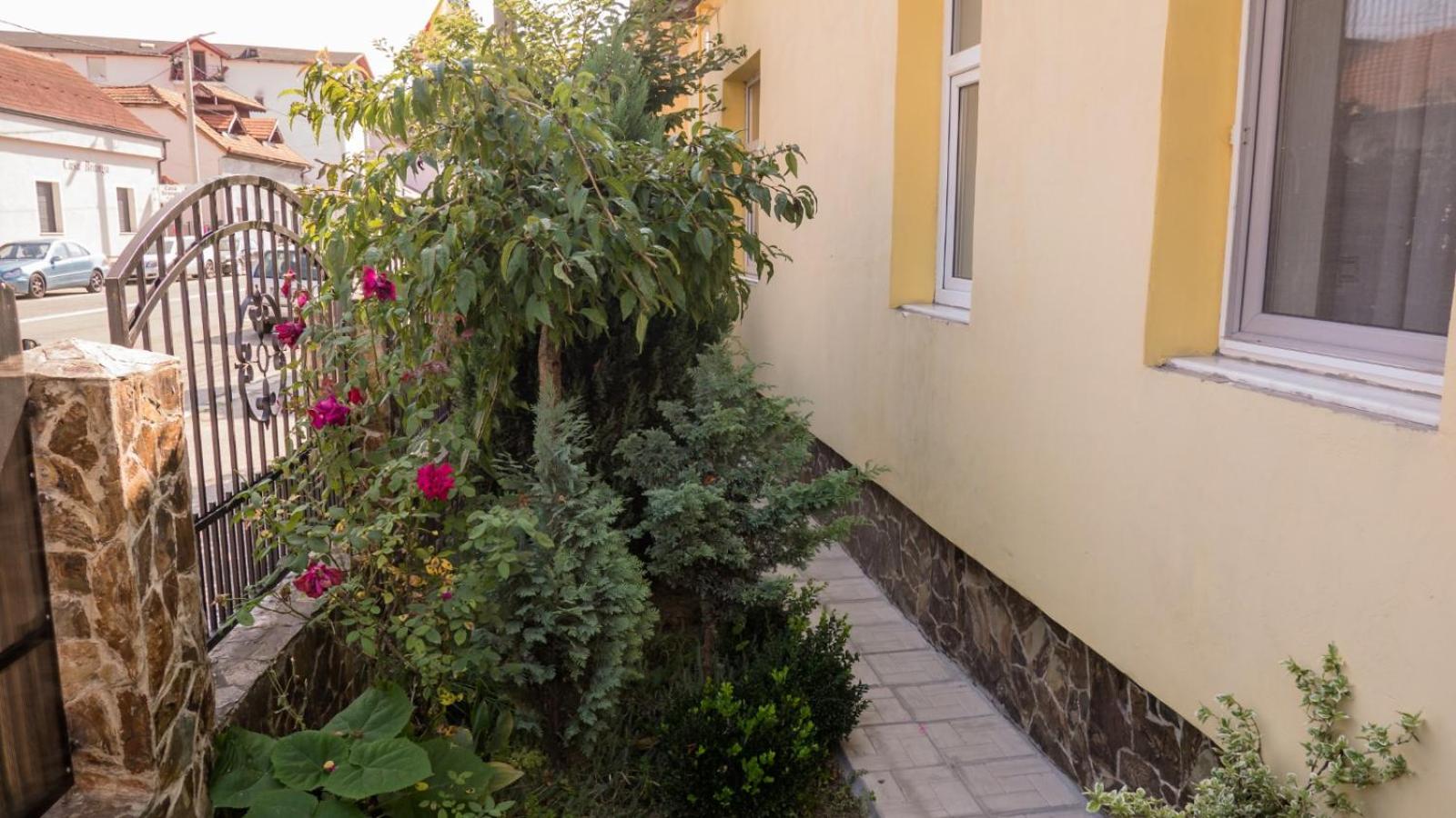 Photo 27