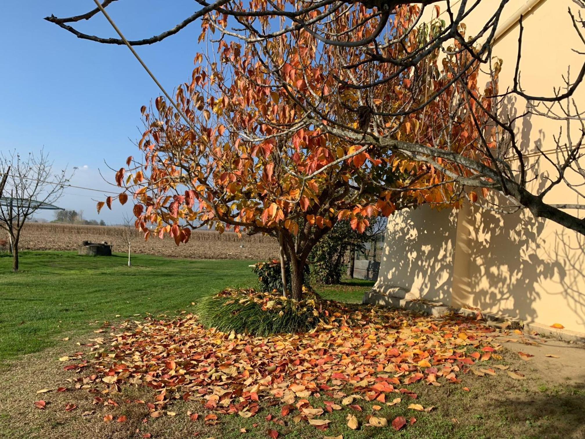 Agriturismo Cascina Mariale