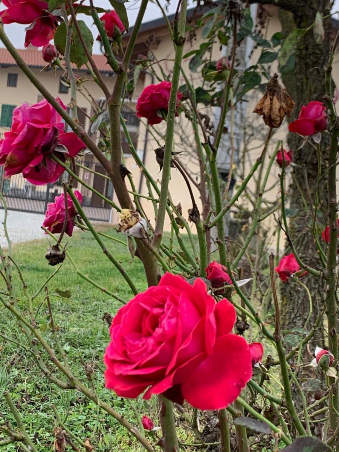Agriturismo Cascina Mariale