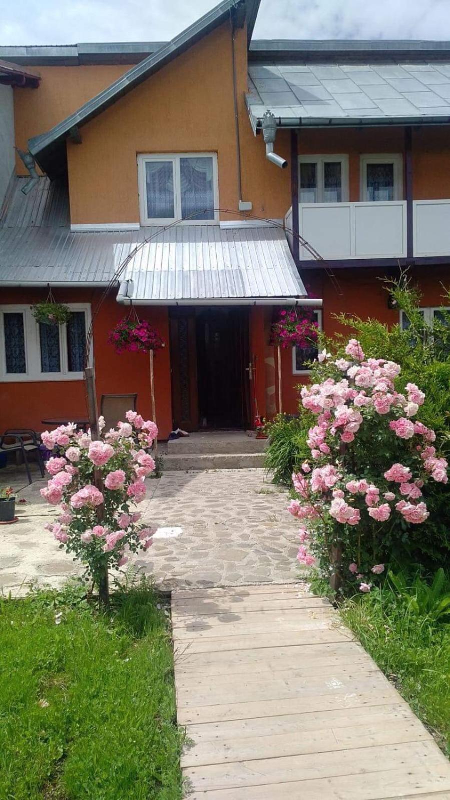 Pensiunea Lăcrămioara view 4