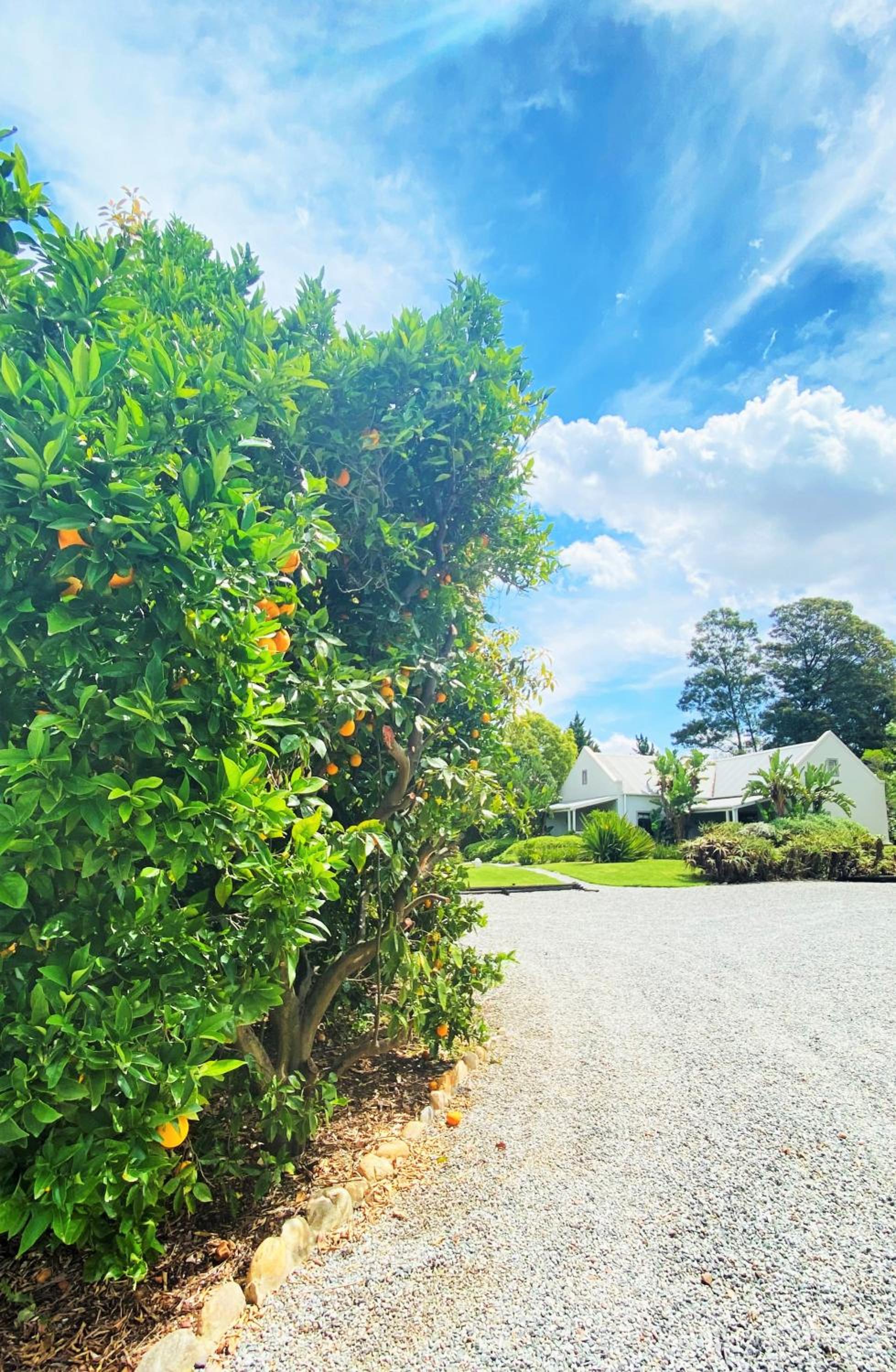 Swellendam Country Lodge - Guest House - B&B view 2