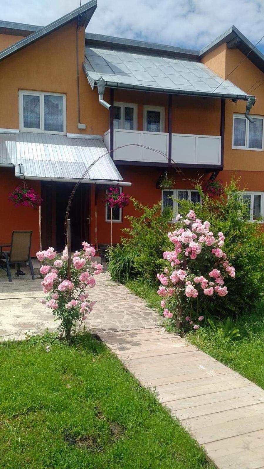 Pensiunea Lăcrămioara view 3