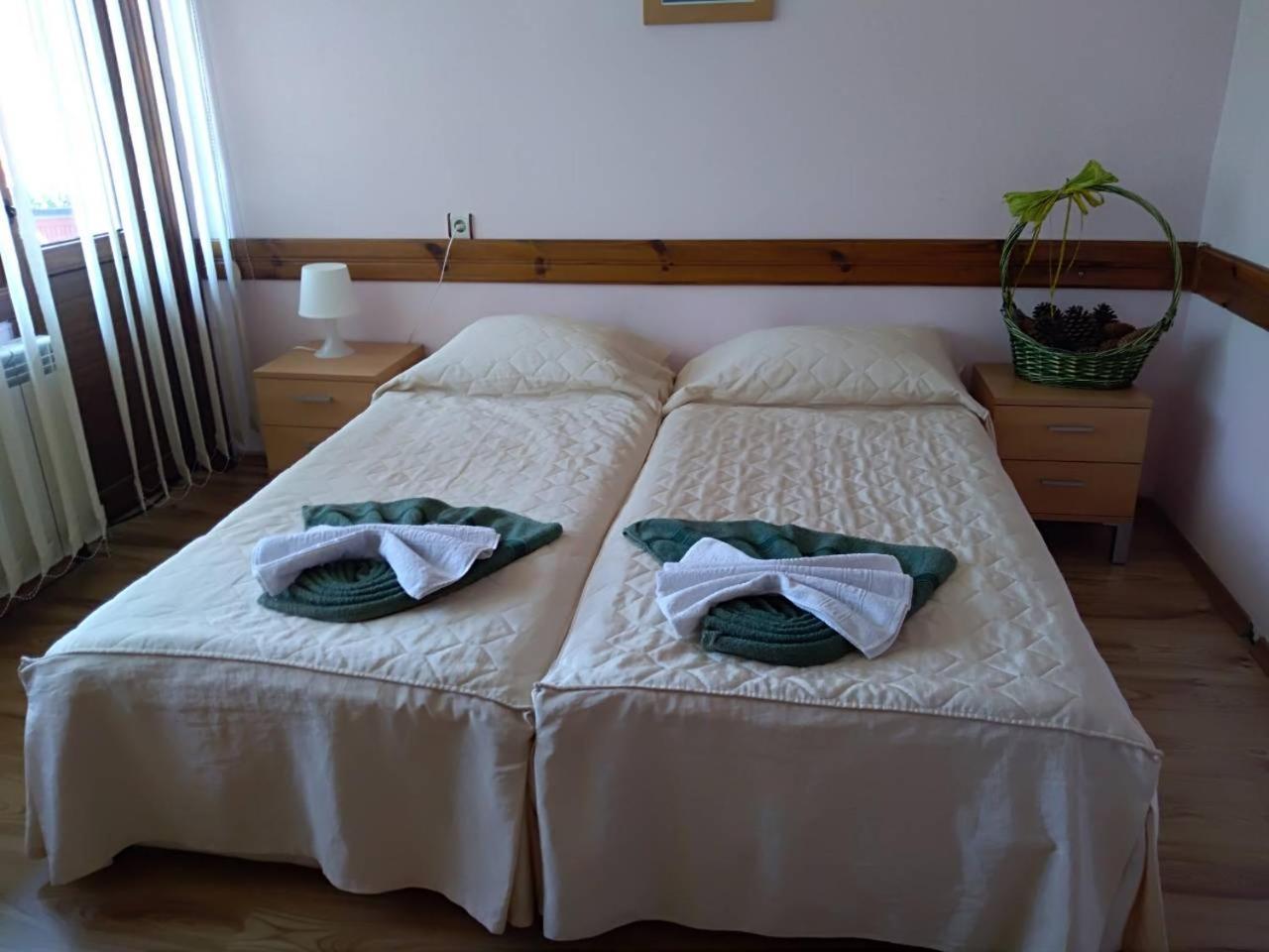 Guest House Planinski Zdravets