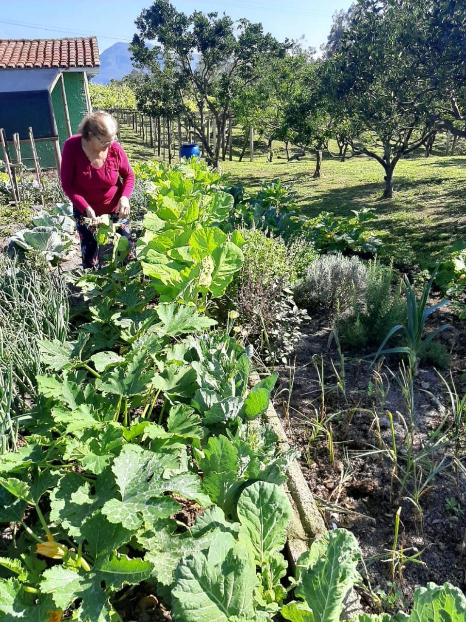 garden