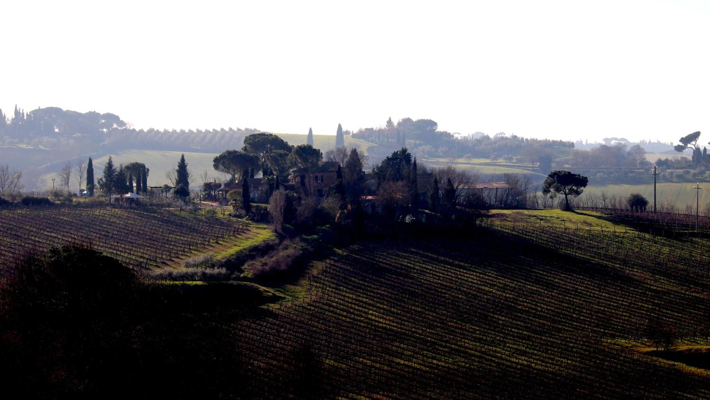 Agriturismo La Terra