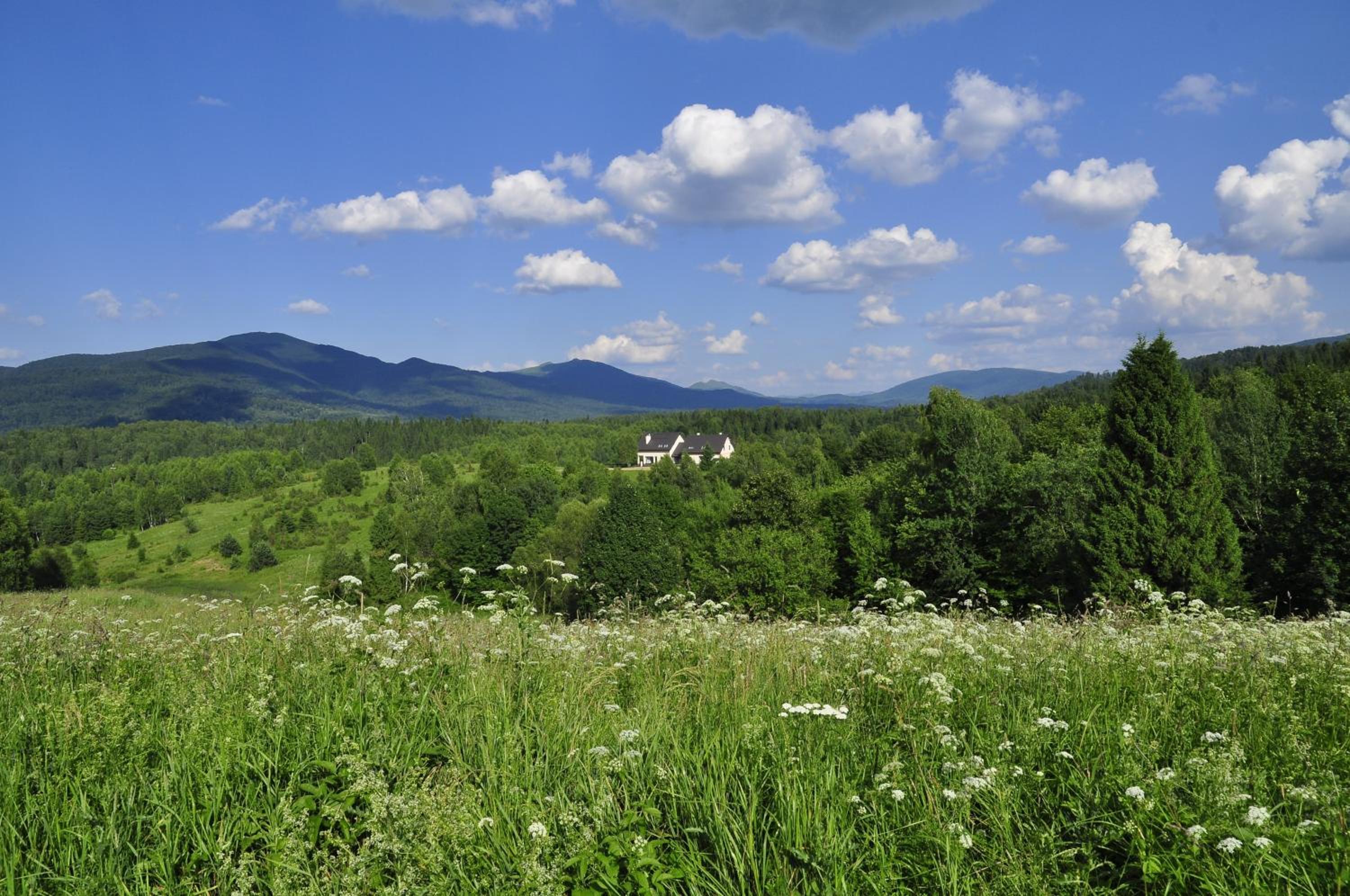 Photo 40