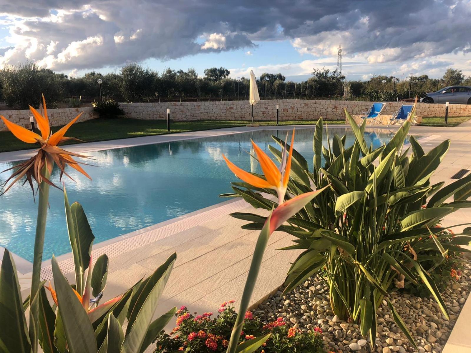 I Trulli di Gina Appartamento 4 persone view 4