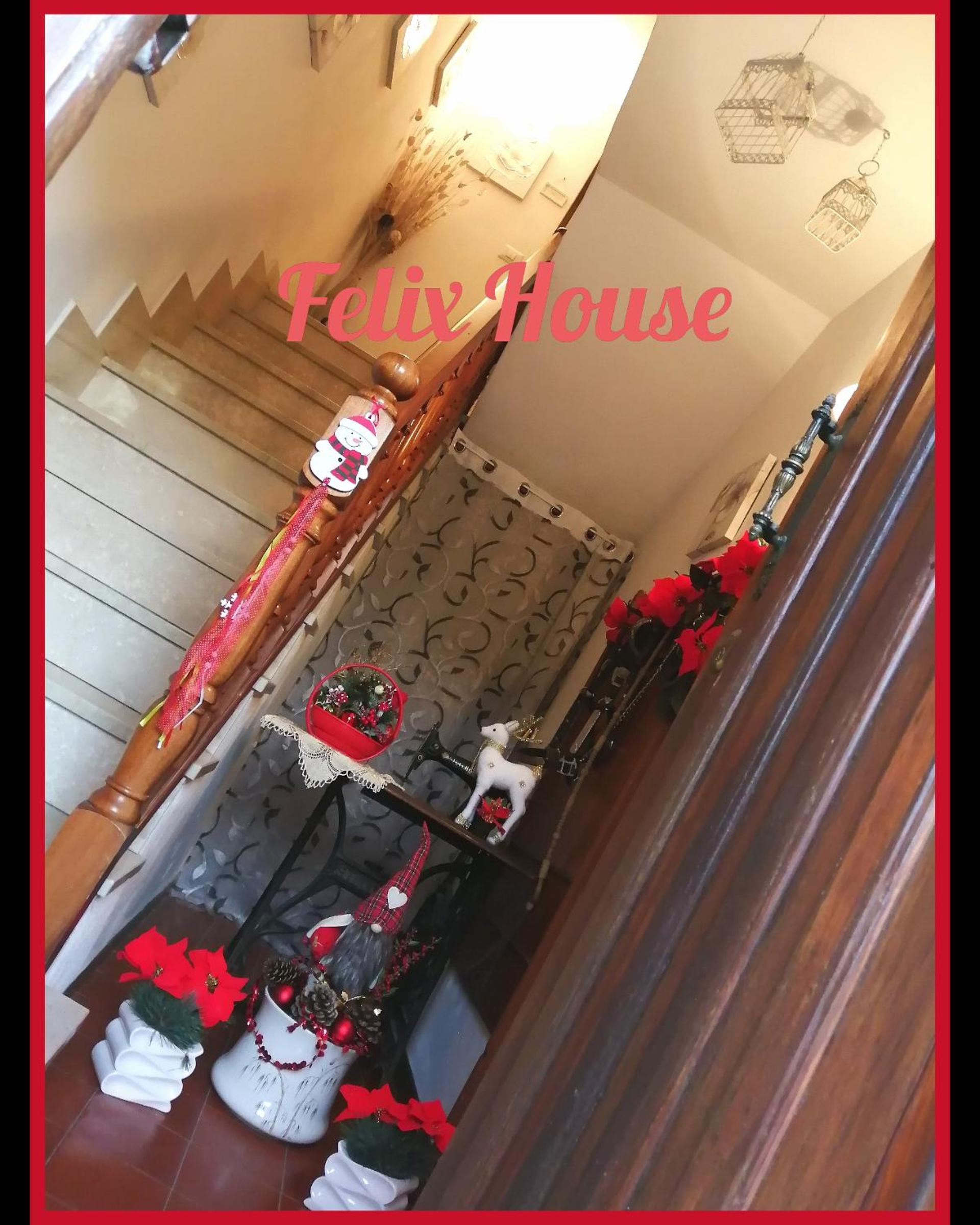 Felix House - Property Image 9