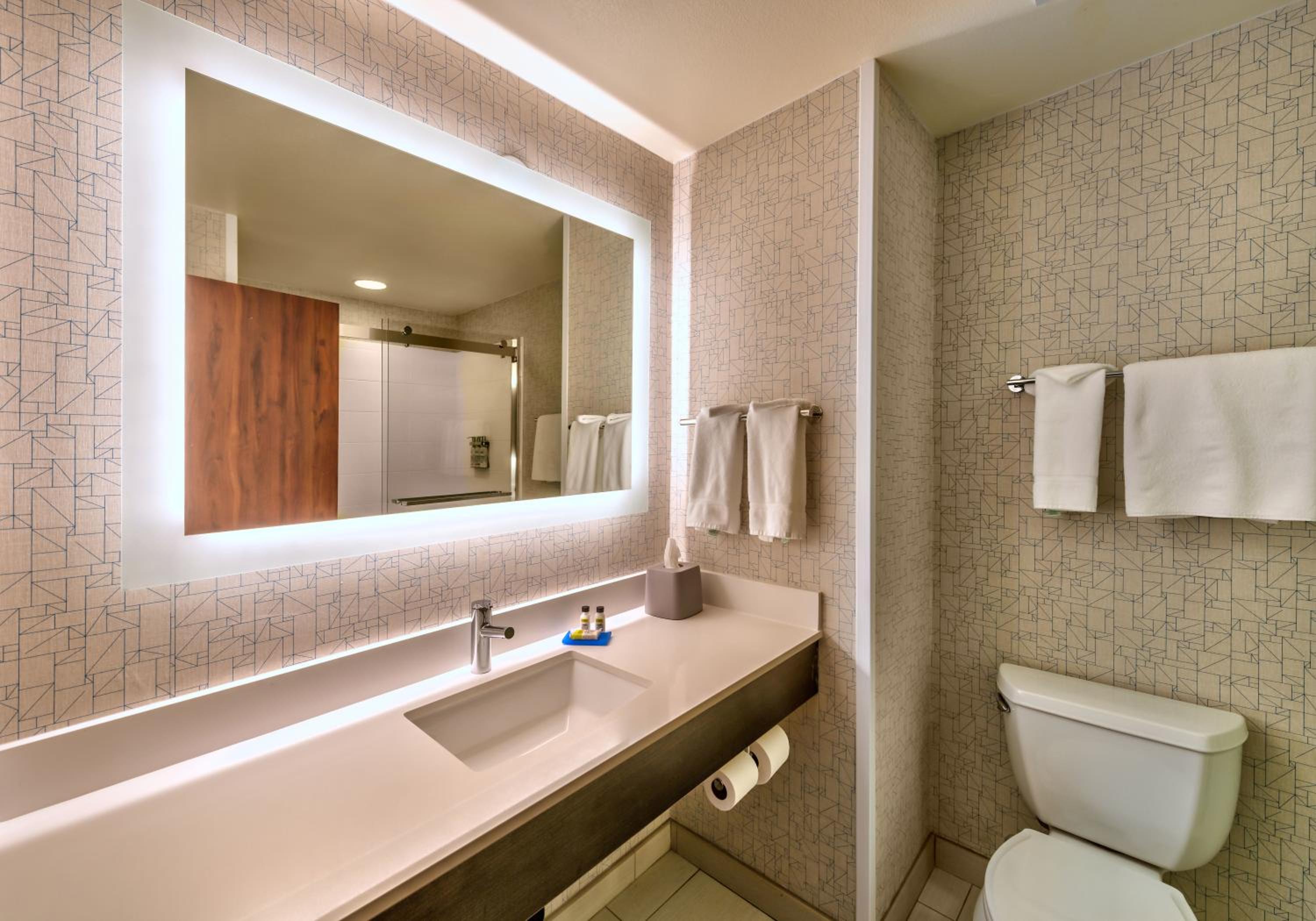 Holiday Inn Express Hotel Suites Minden, an IHG Hotel - Property Image 11