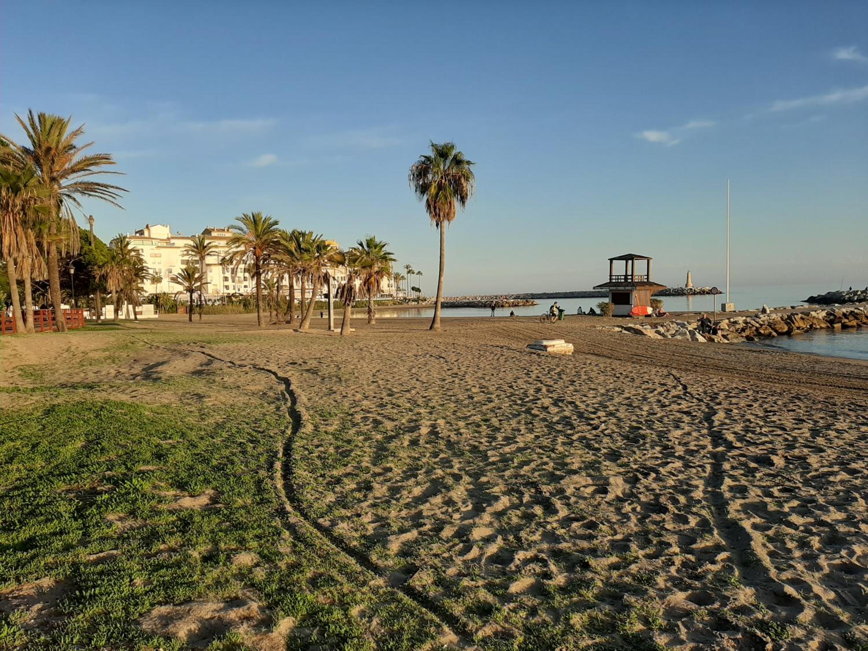 Photo 11