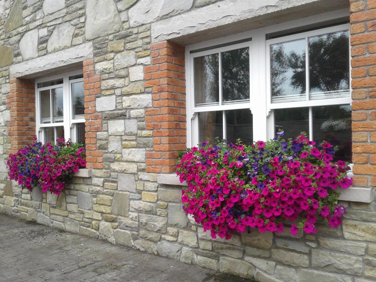 Devenish Lodge B&B view 4