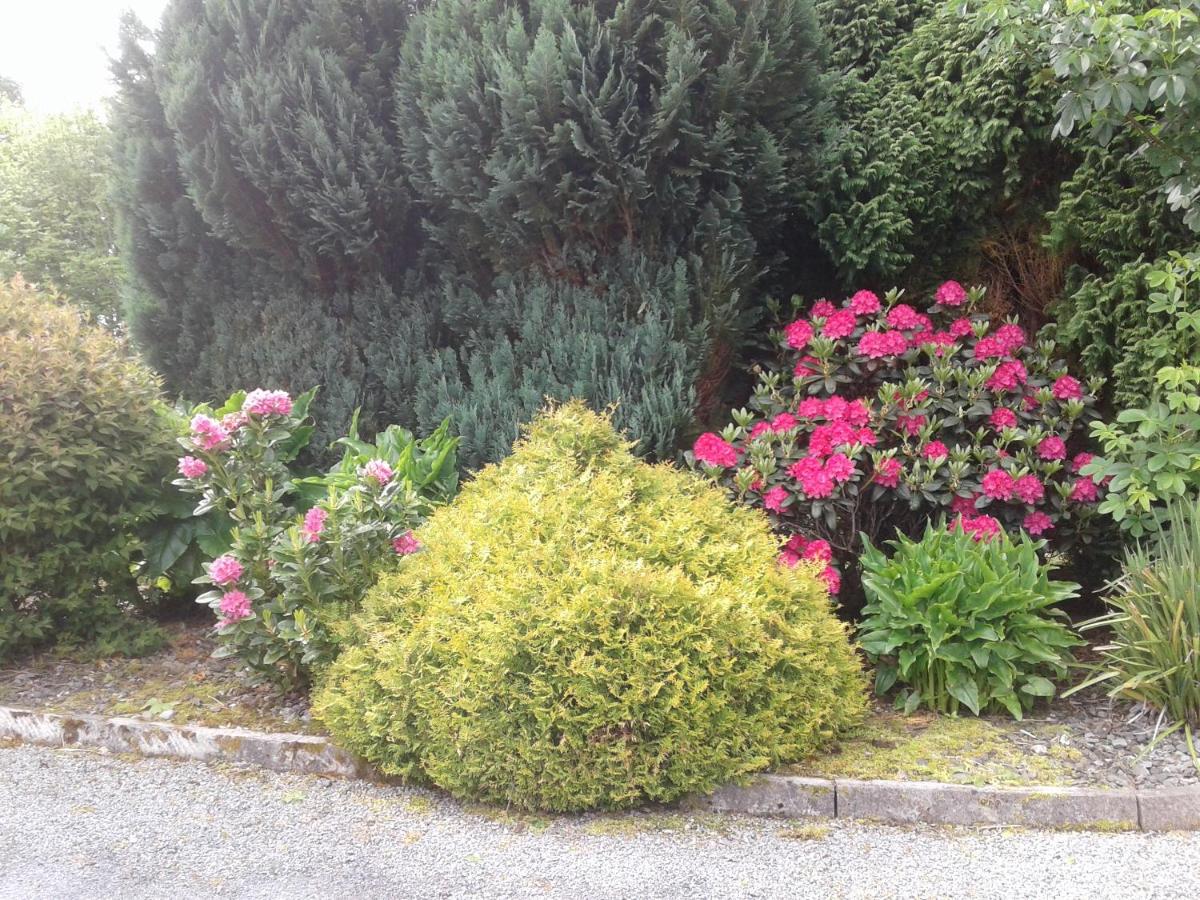 Devenish Lodge B&B view 3
