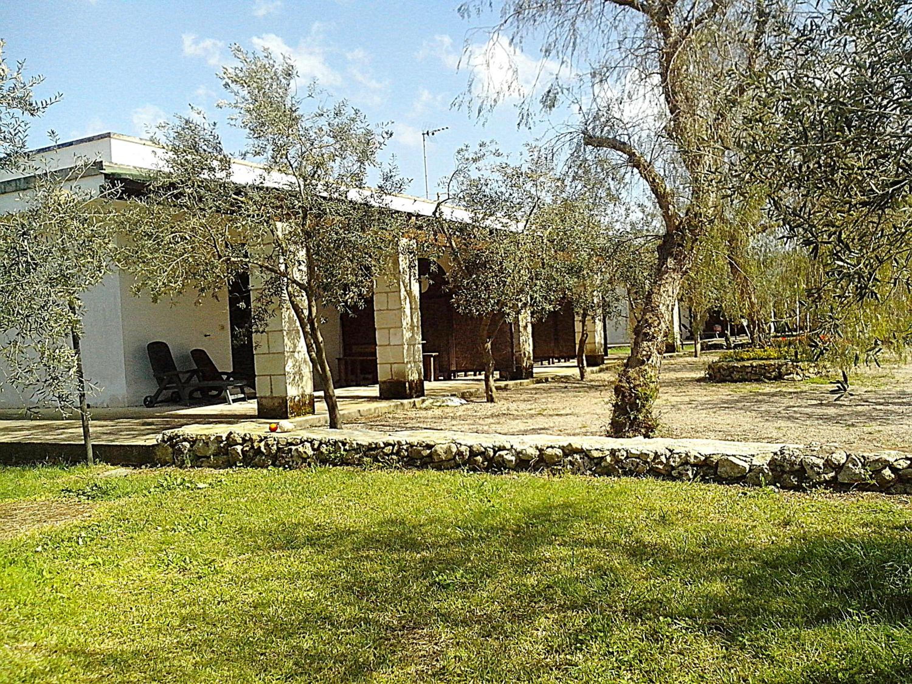 Photo 23