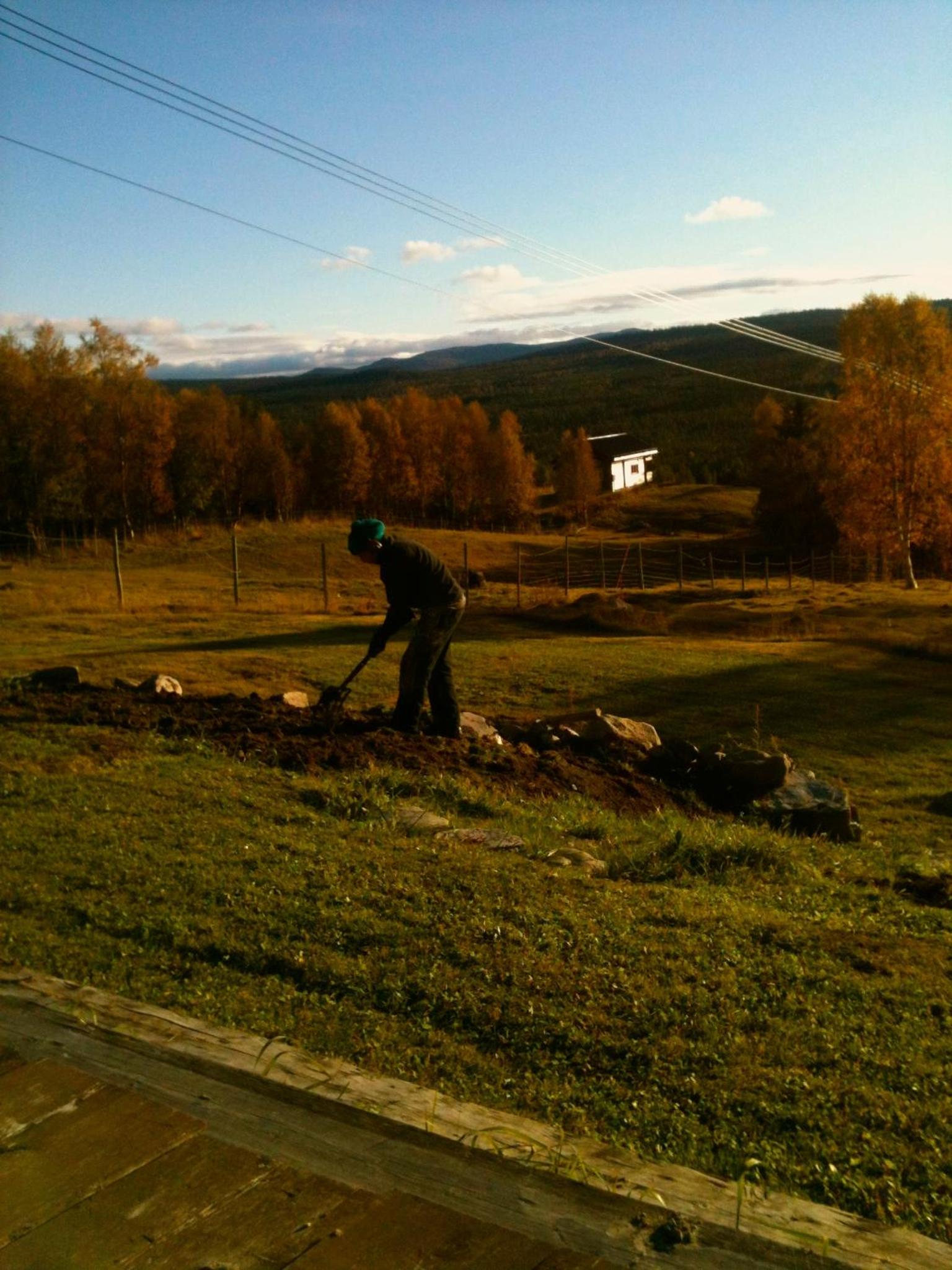 Photo 11