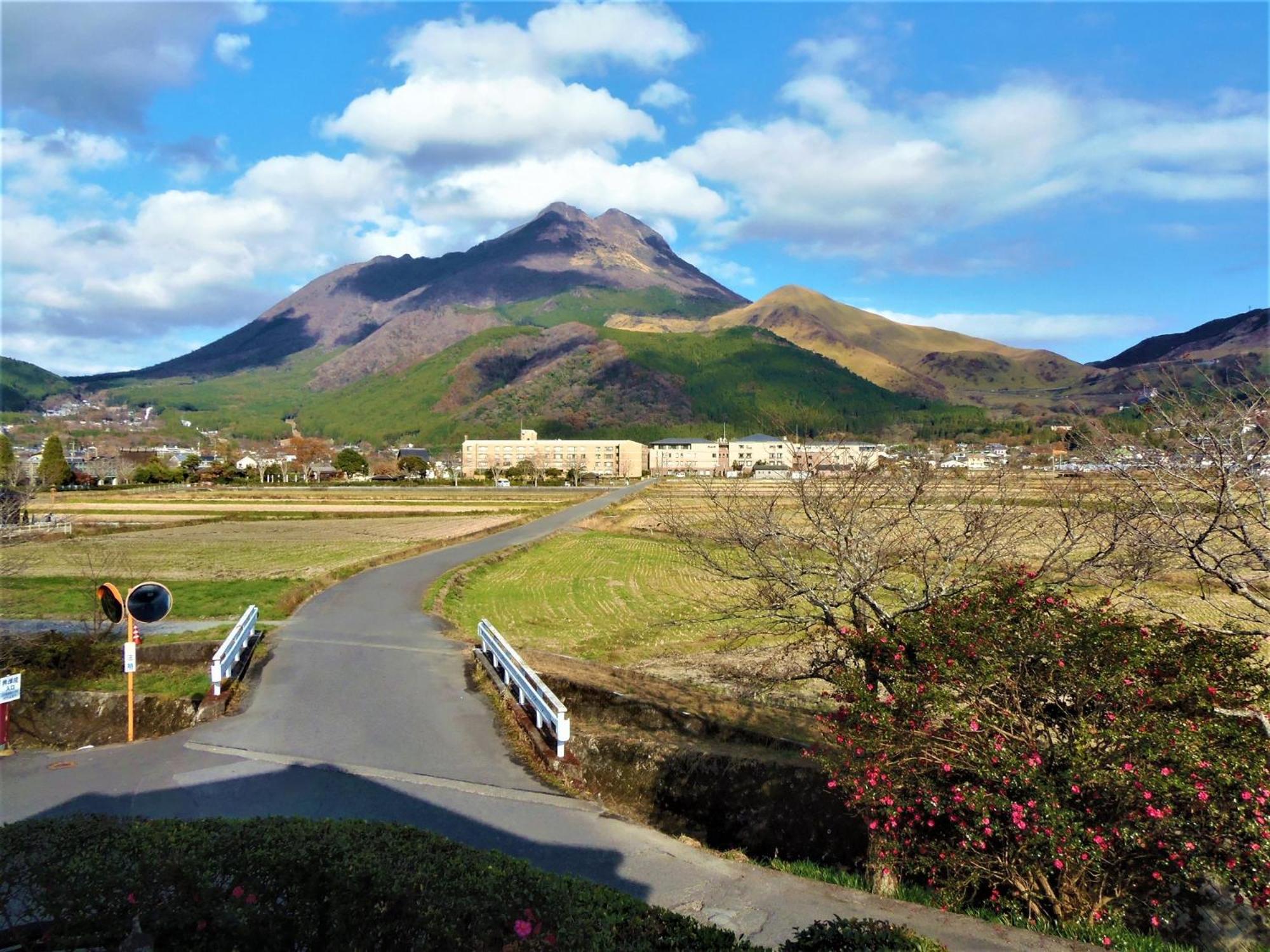 Sanso Tanaka view 2