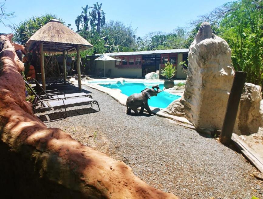 Pumusa Bushcamp