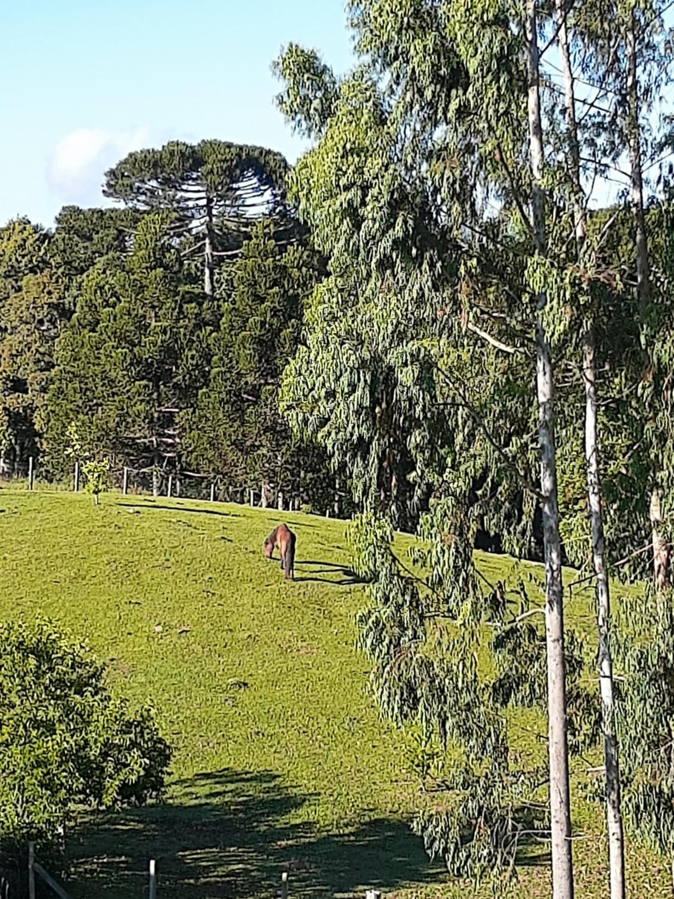 CHÁCARA QUEDINHA D'ÁGUA