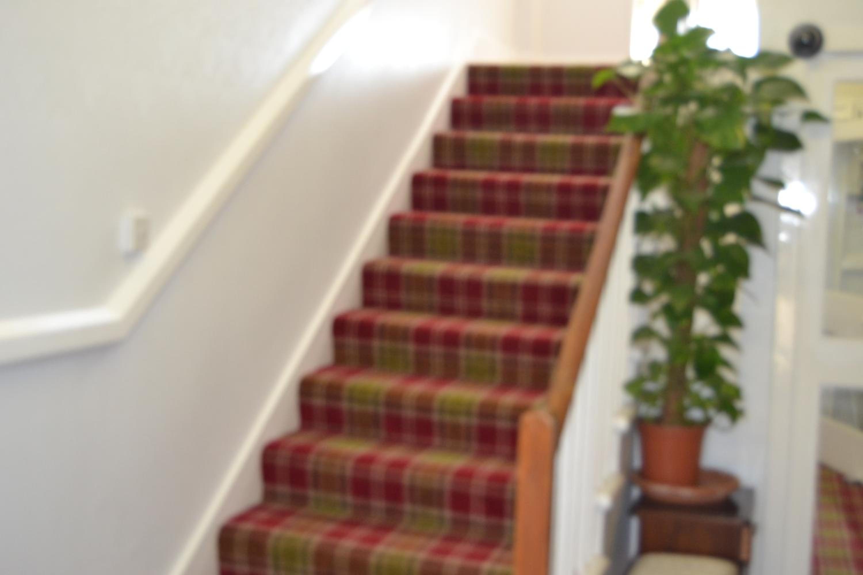 Southbank Guesthouse