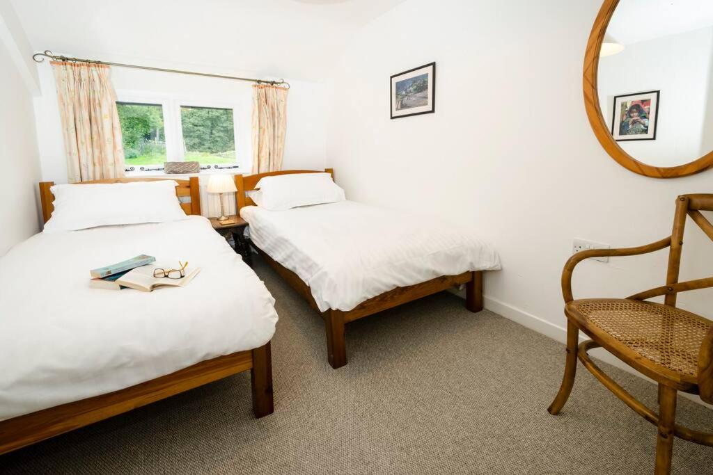 Pippins, Elterwater view 4